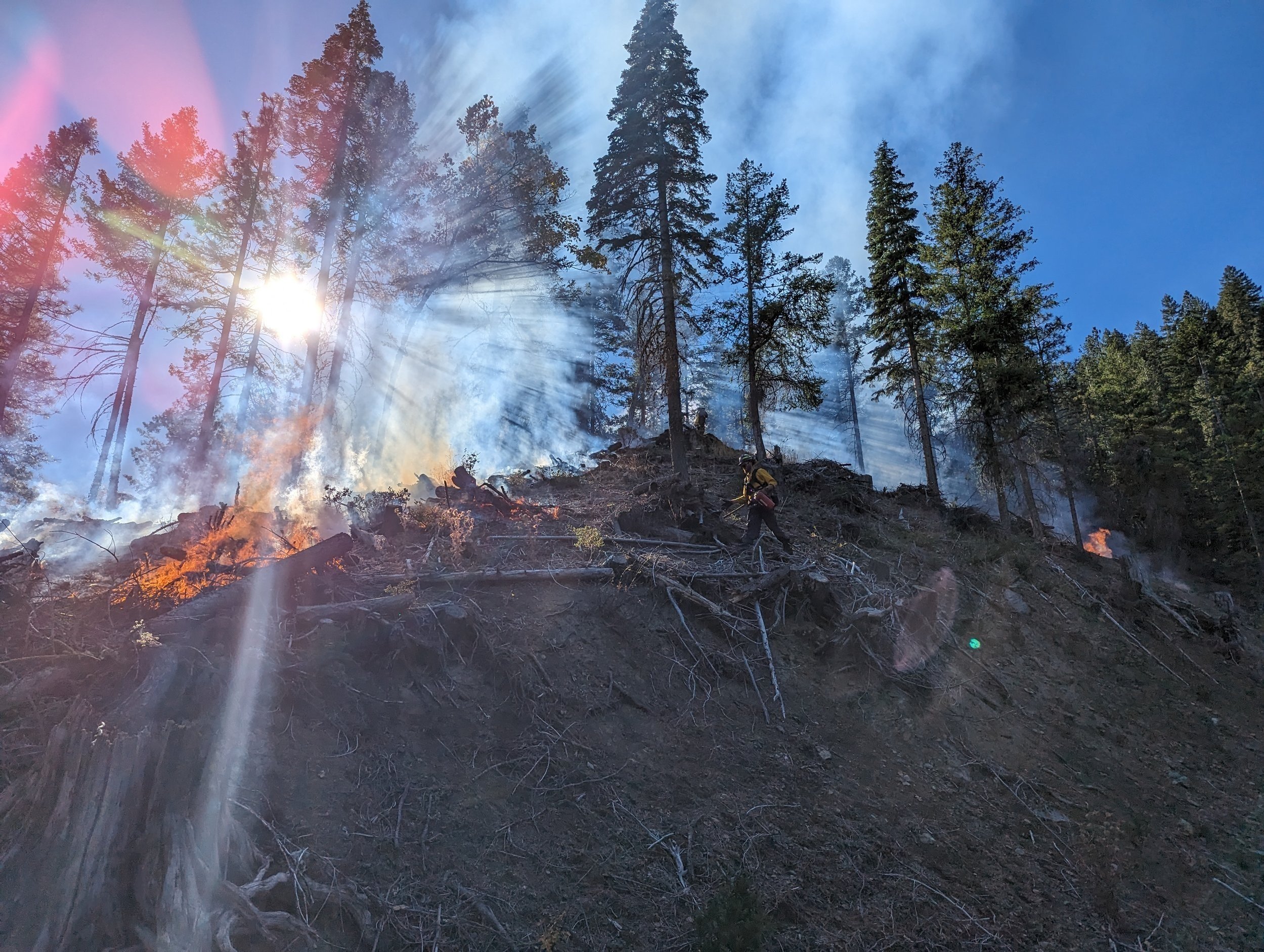 Etna Burn Piles- "Quality Reflection"- Photo: Aaron Elliot