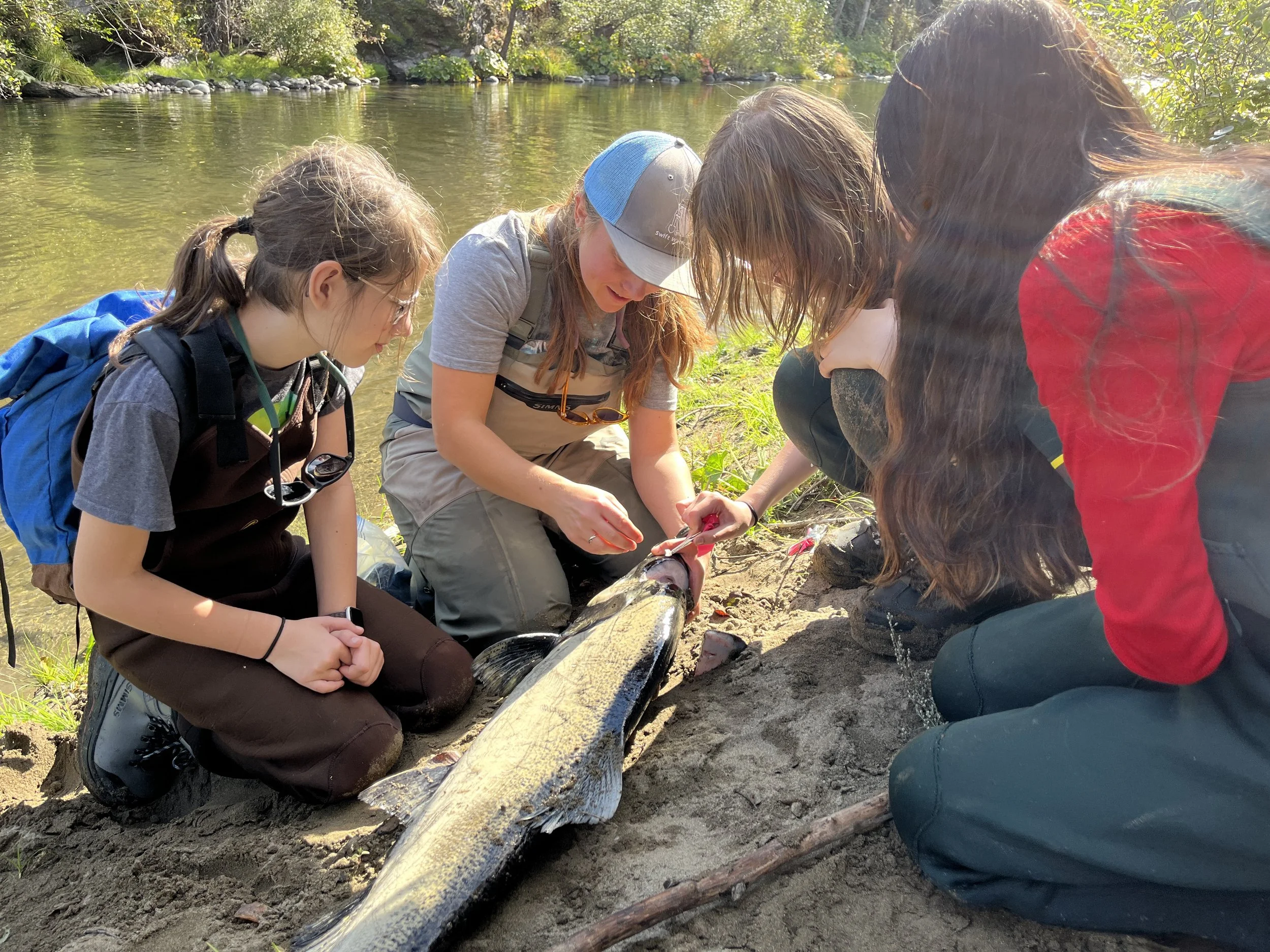 2023 Student Salmon Surveys on the Klamath