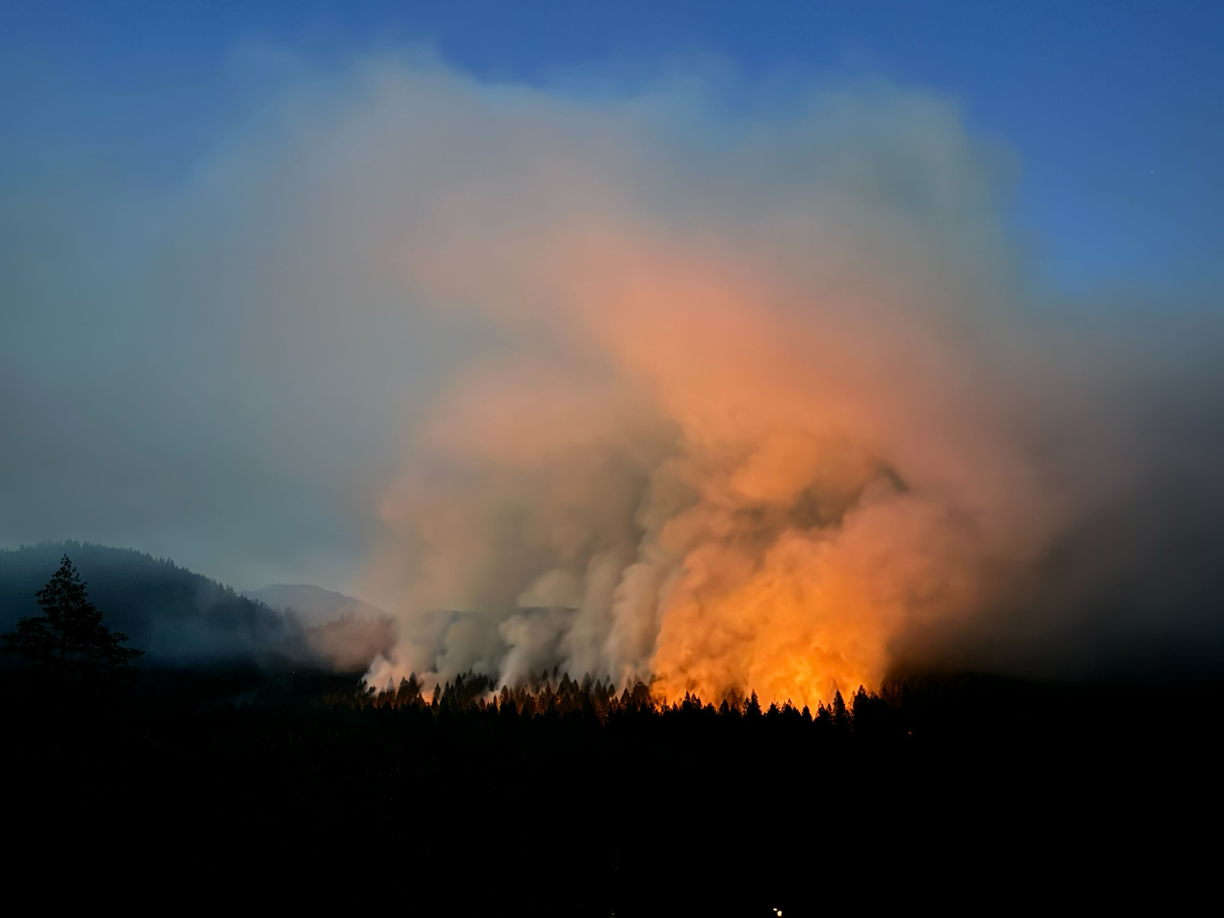 Morgan Point Prescribed Fire- Summary and Photos