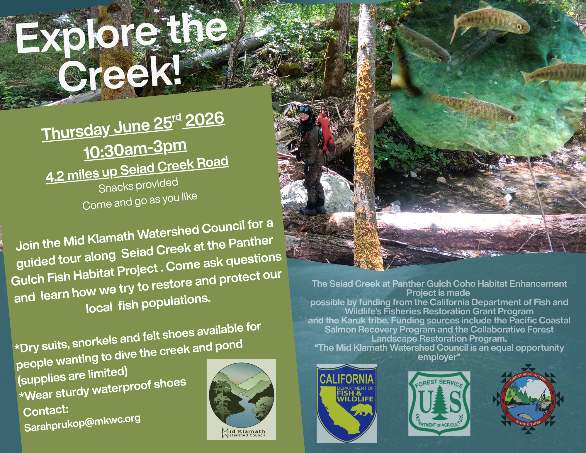Explore Seiad Creek!