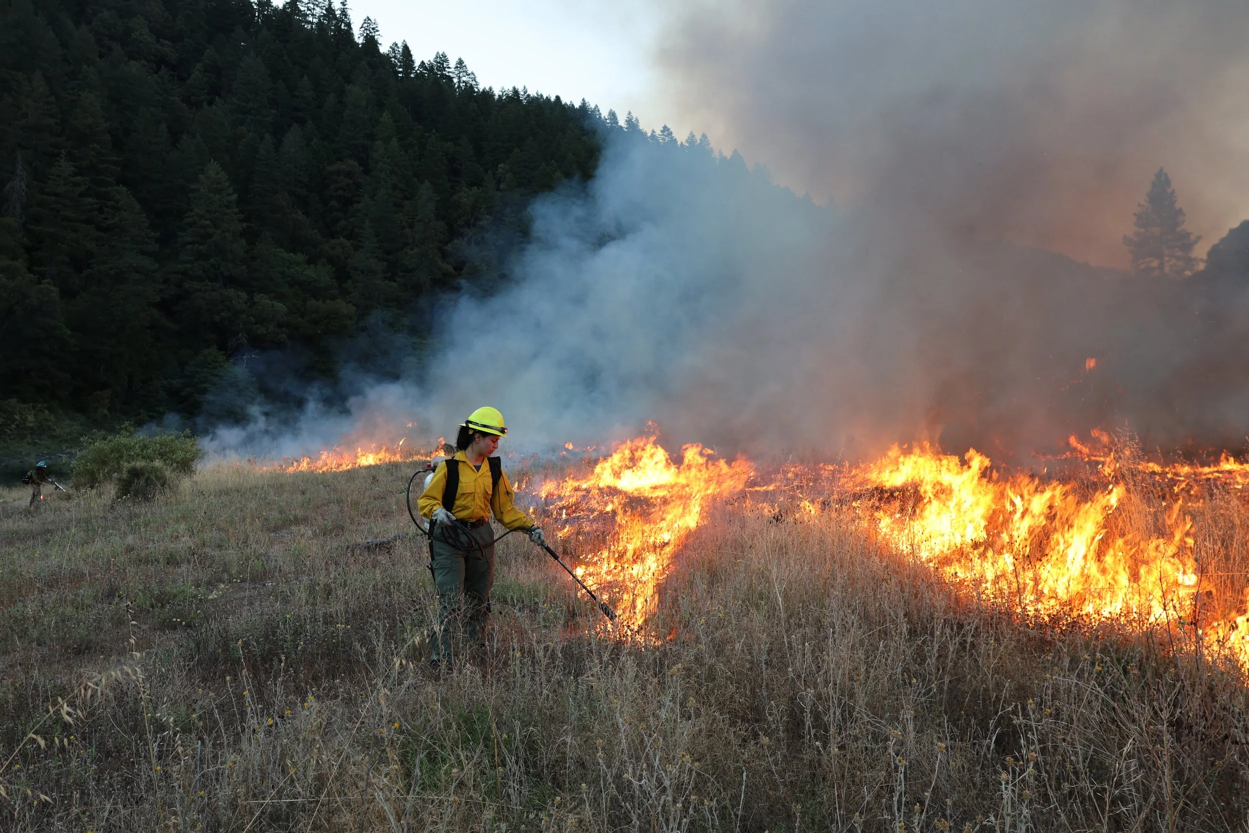 Stewardship in Action, A Day on a Prescribed Burn