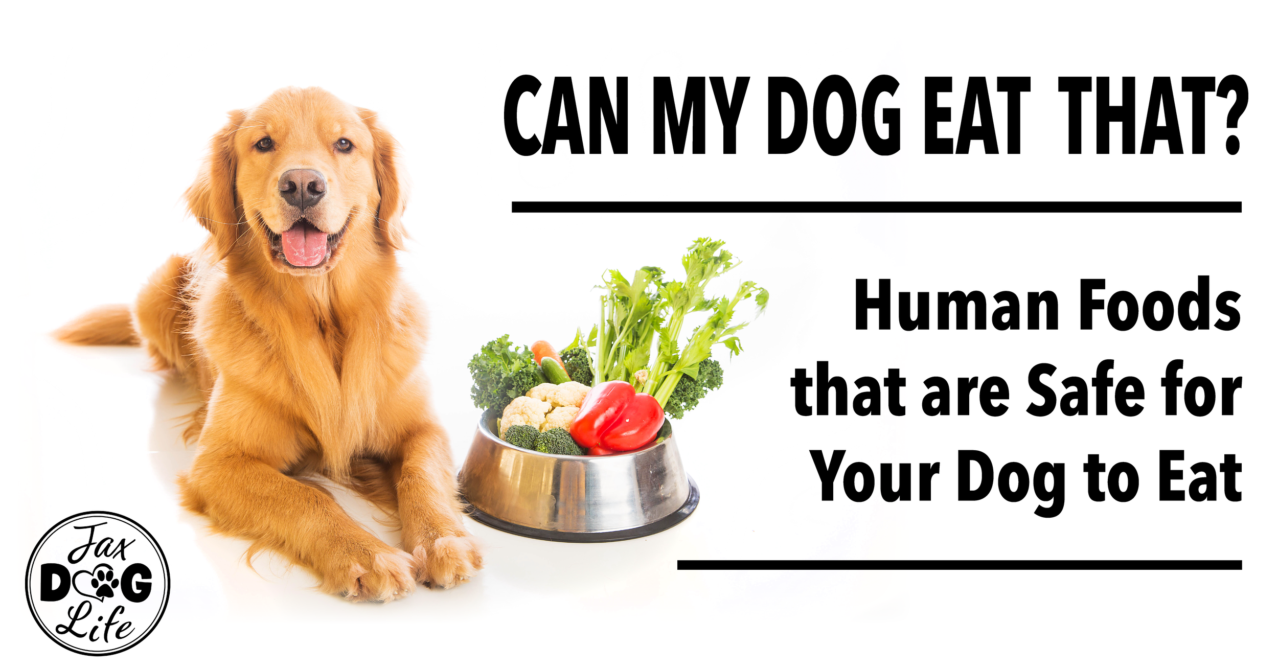 what human food can my puppy eat