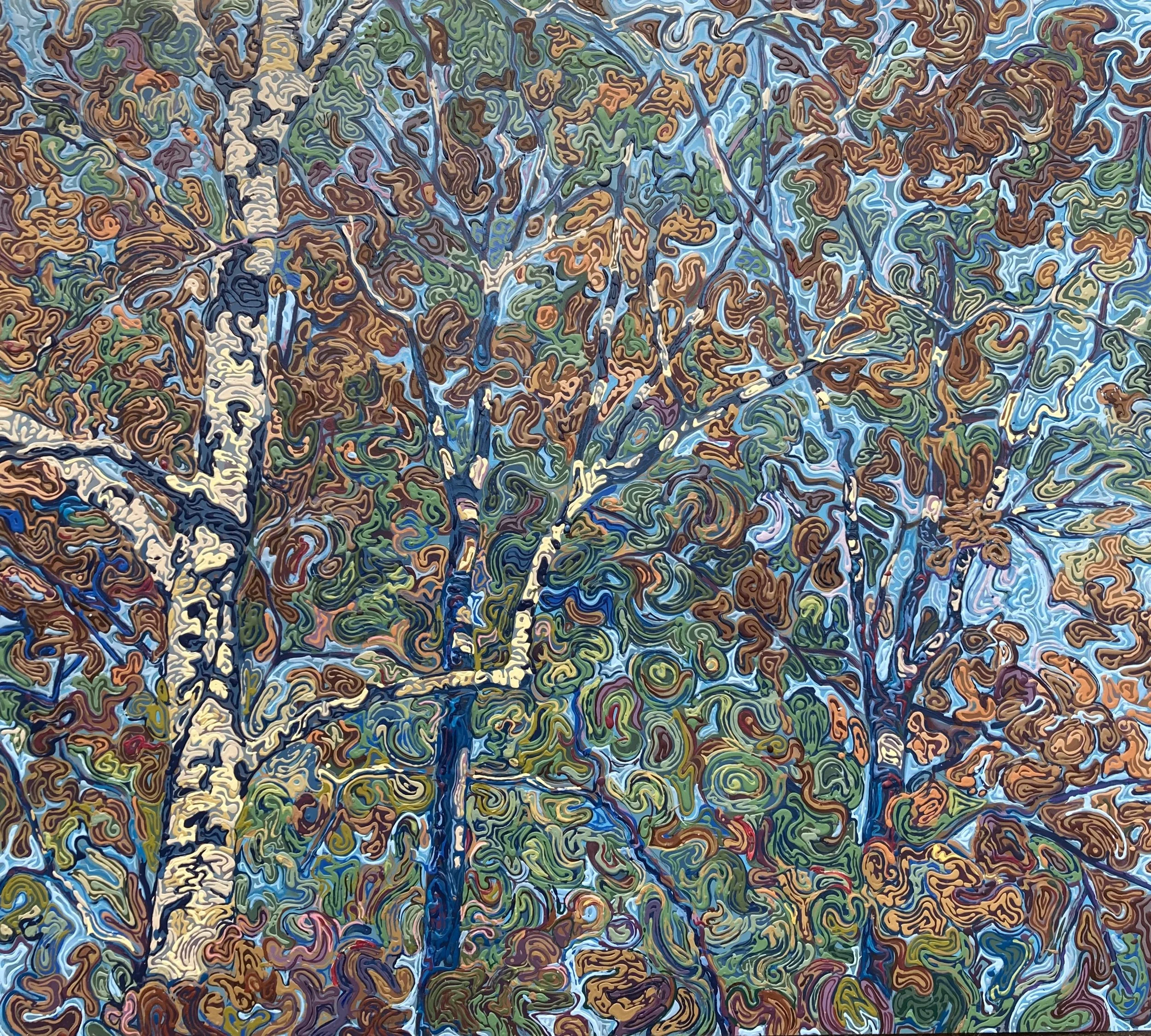 29. Sycamore.