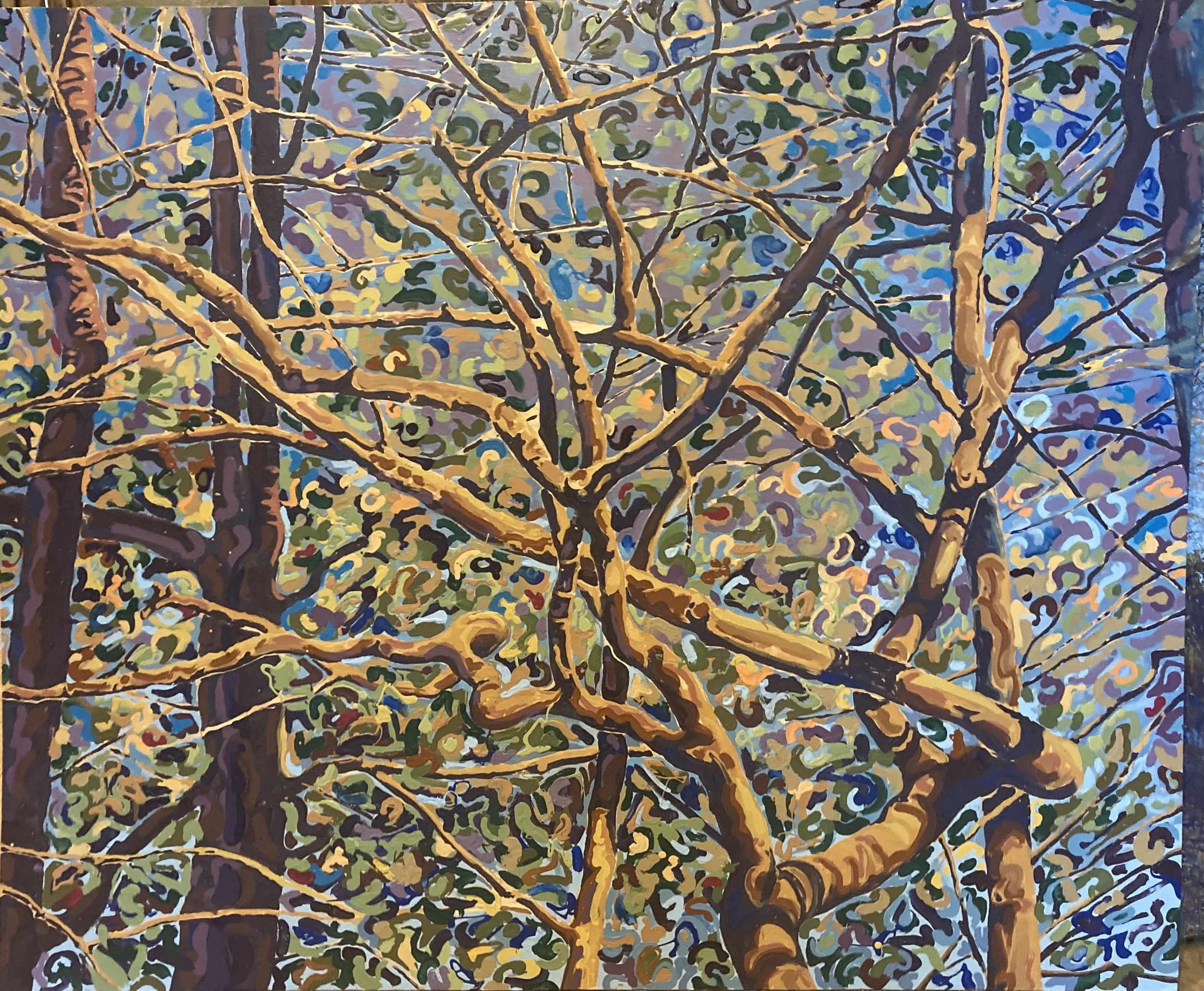 49. Loose Woods.