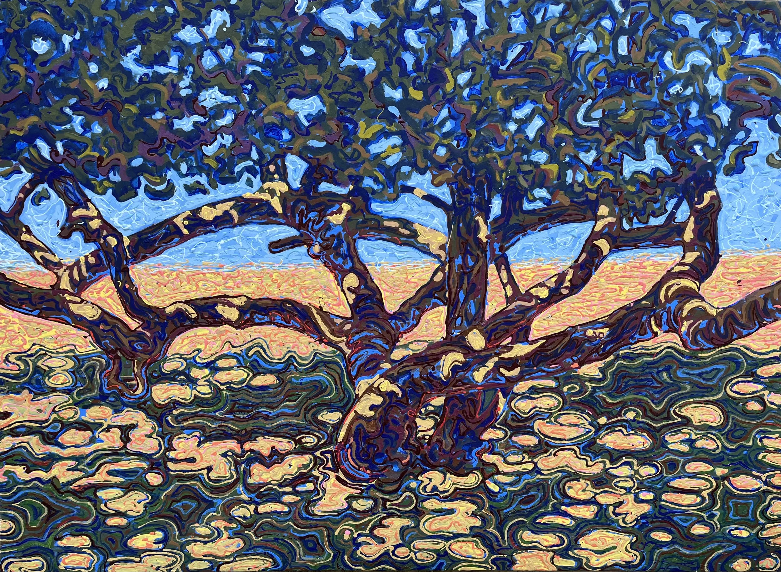 57. Tree and shadows, West Indies.