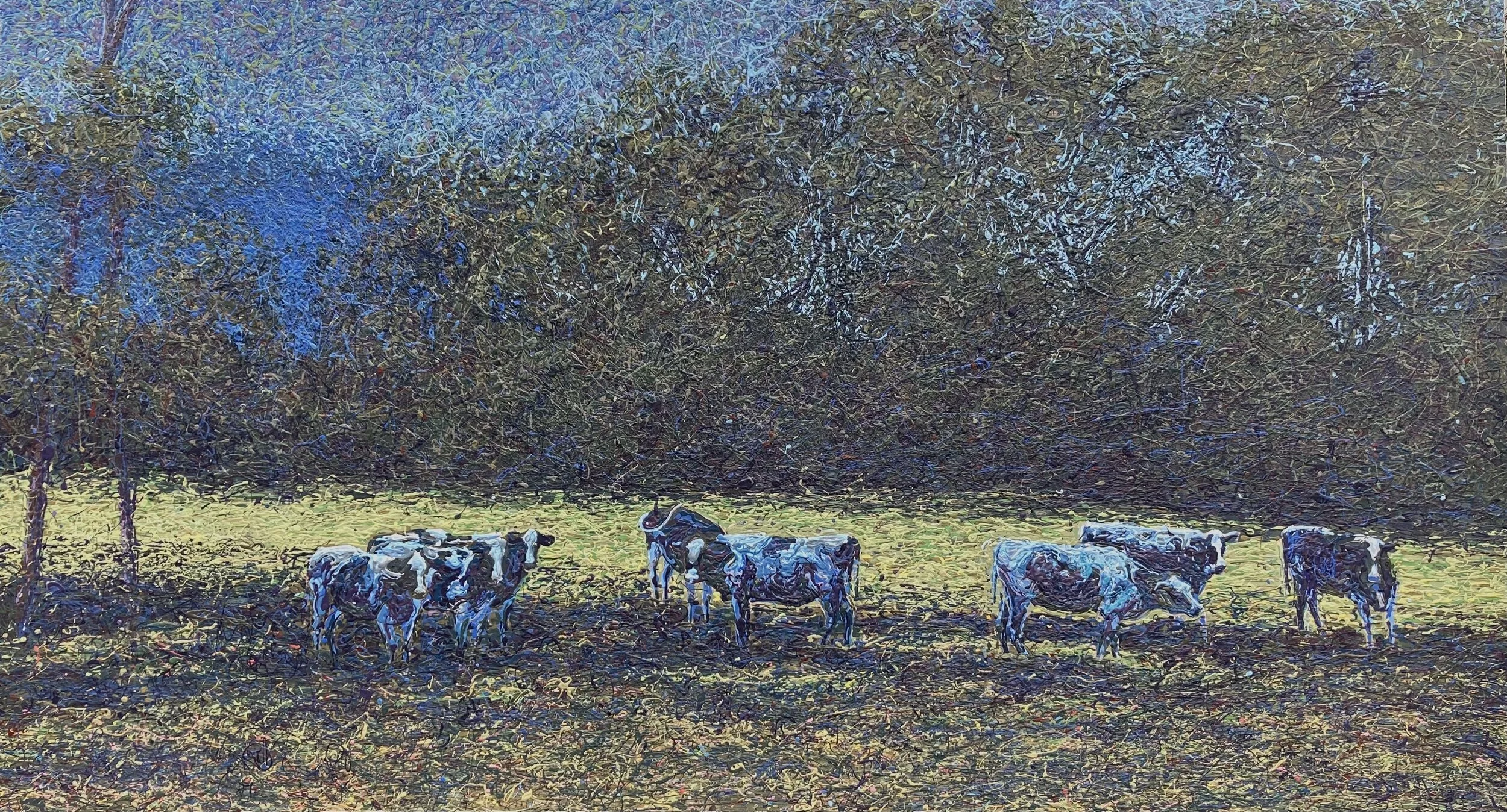 61. Cows near the old Prisoner stone.