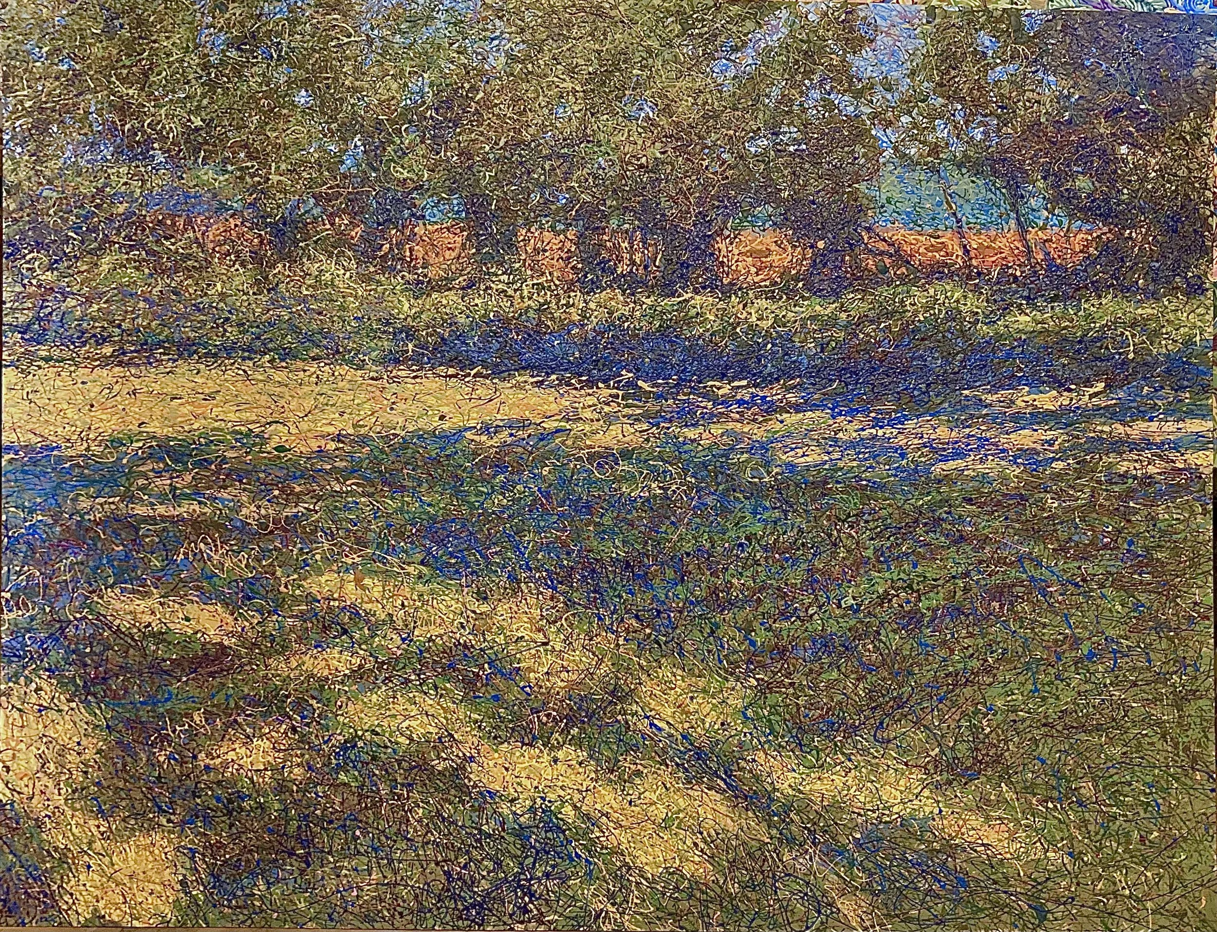 64. Field of Shadows.