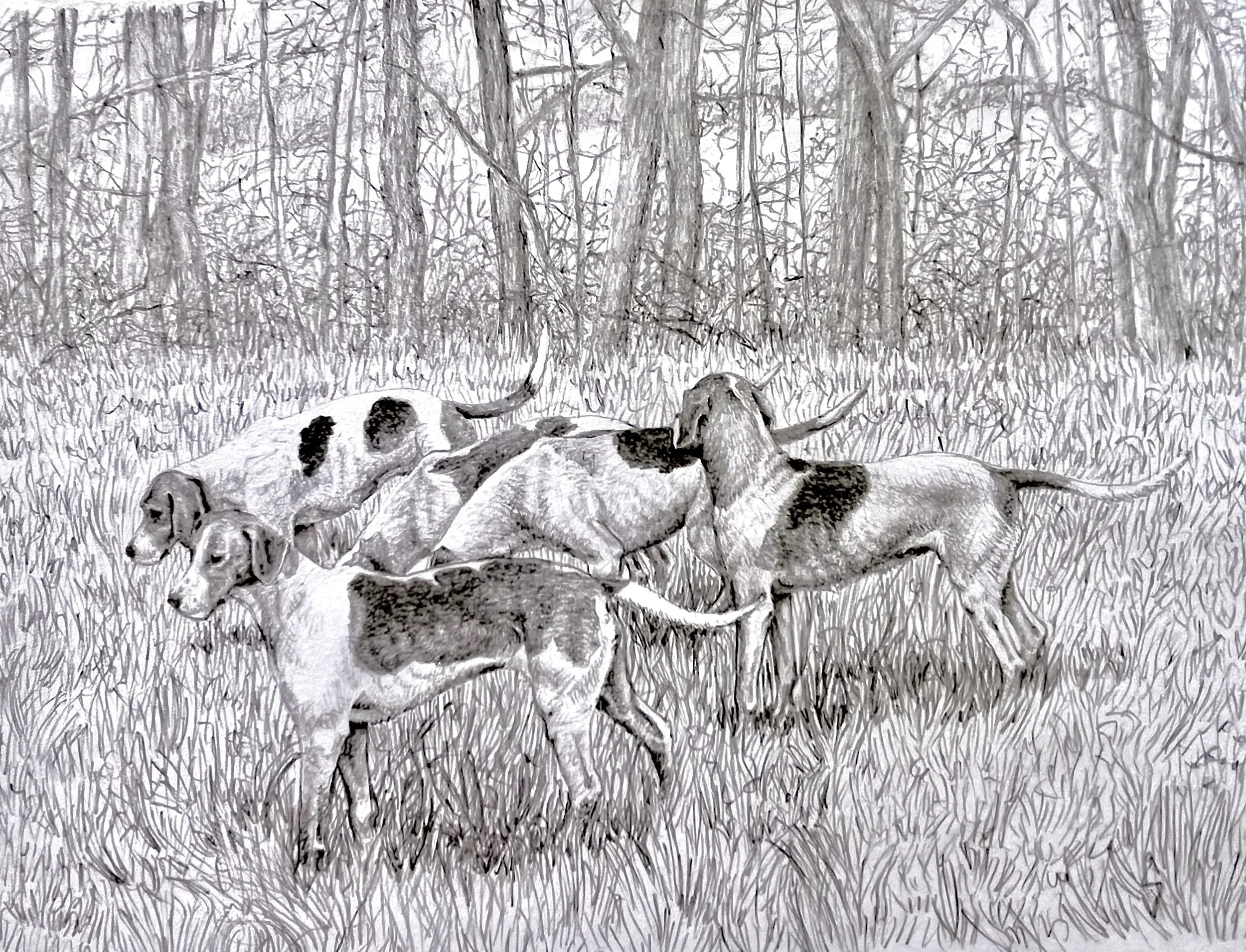 6. In the Field.