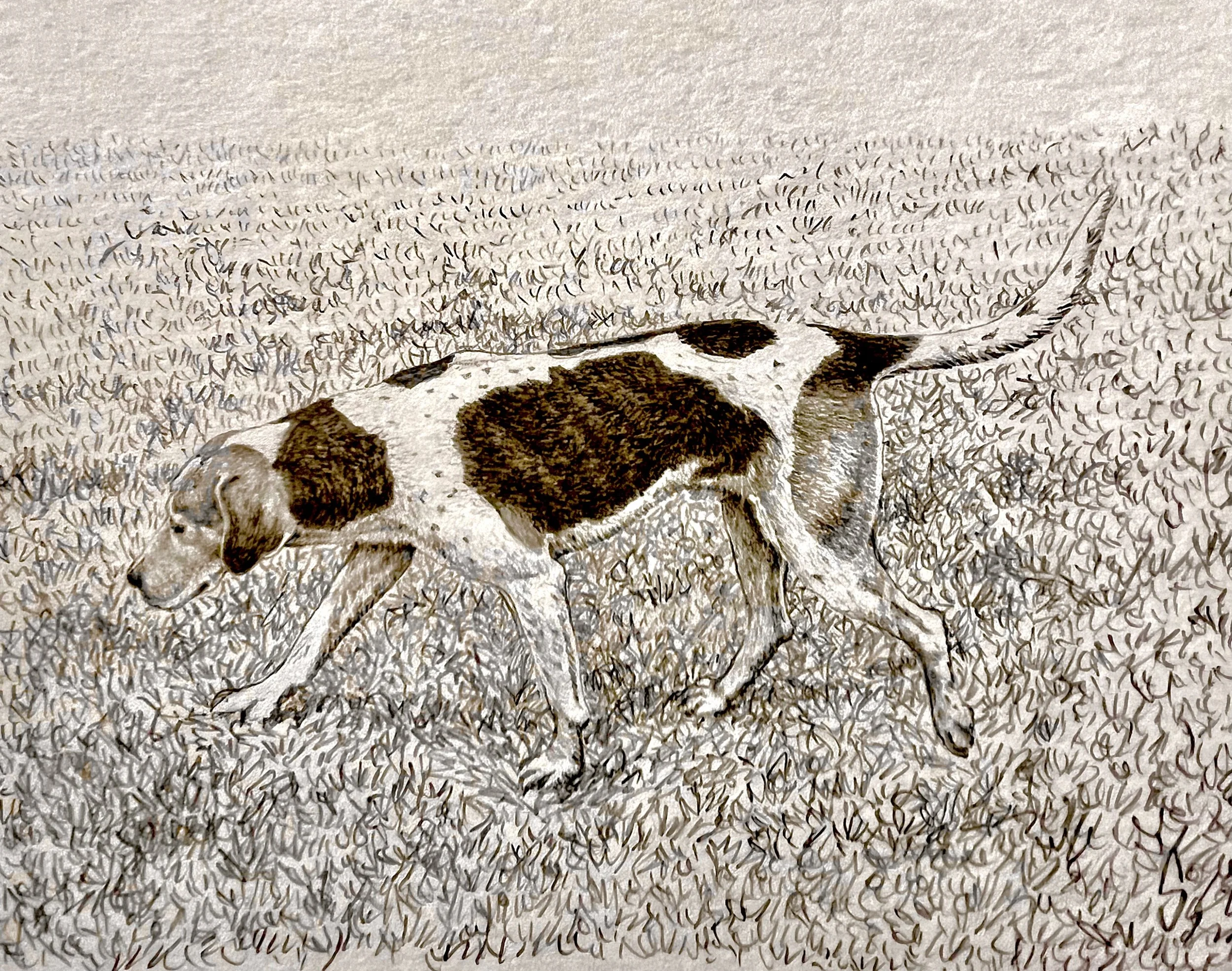 9. Sailer, 2002.