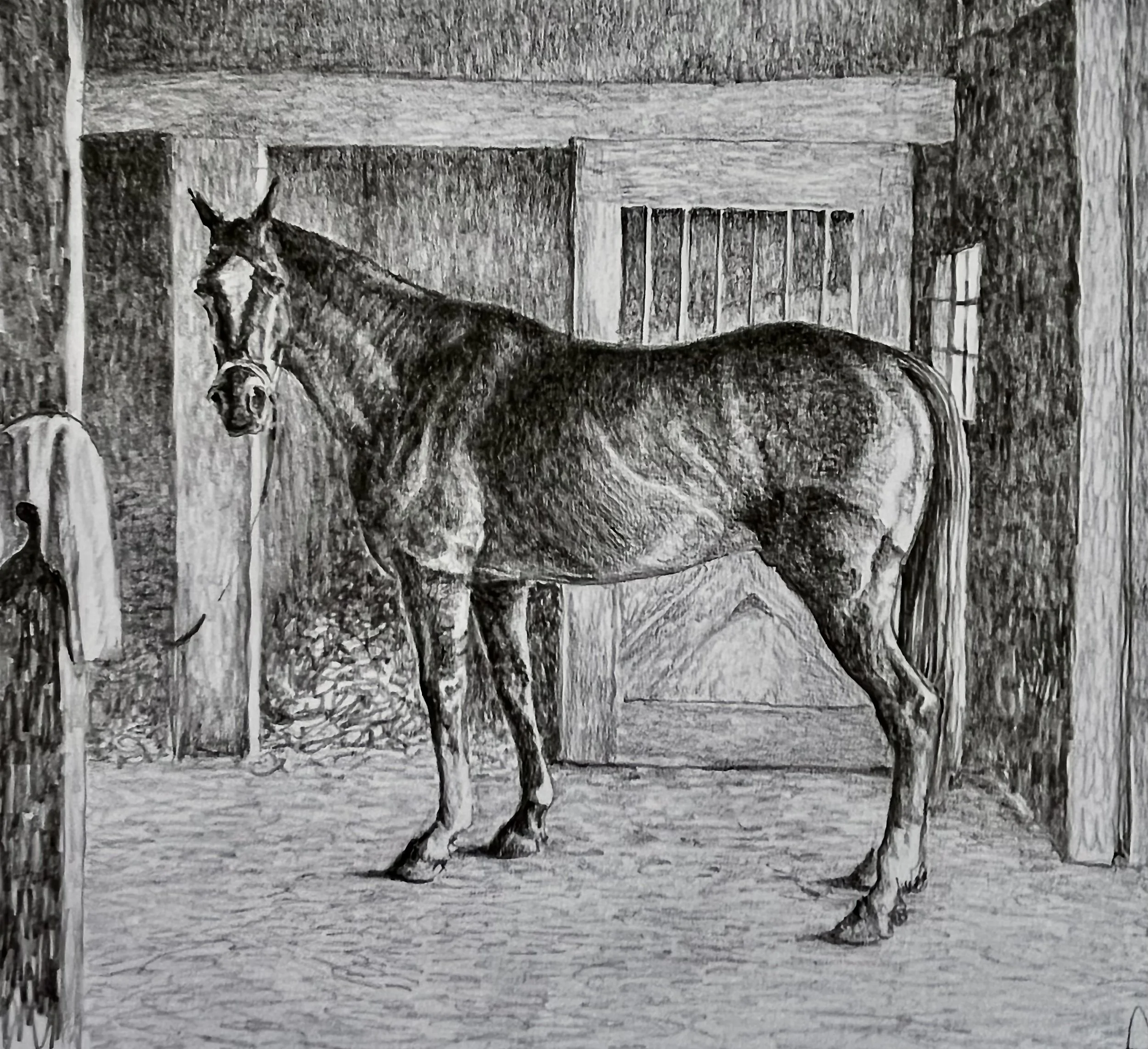 14. Staff Horse, Norman Conquest.