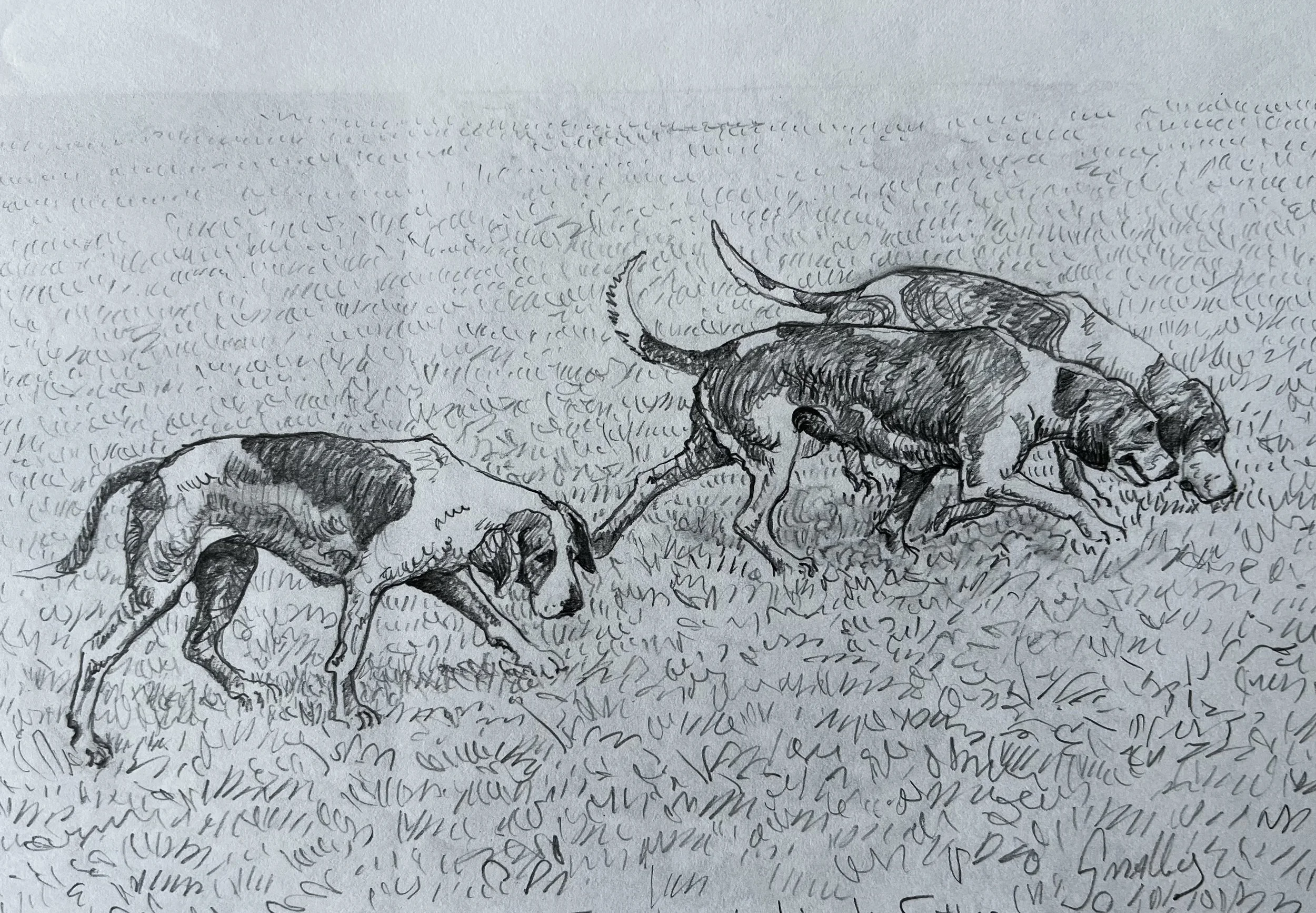 18. Study sketch for "Working Hounds".