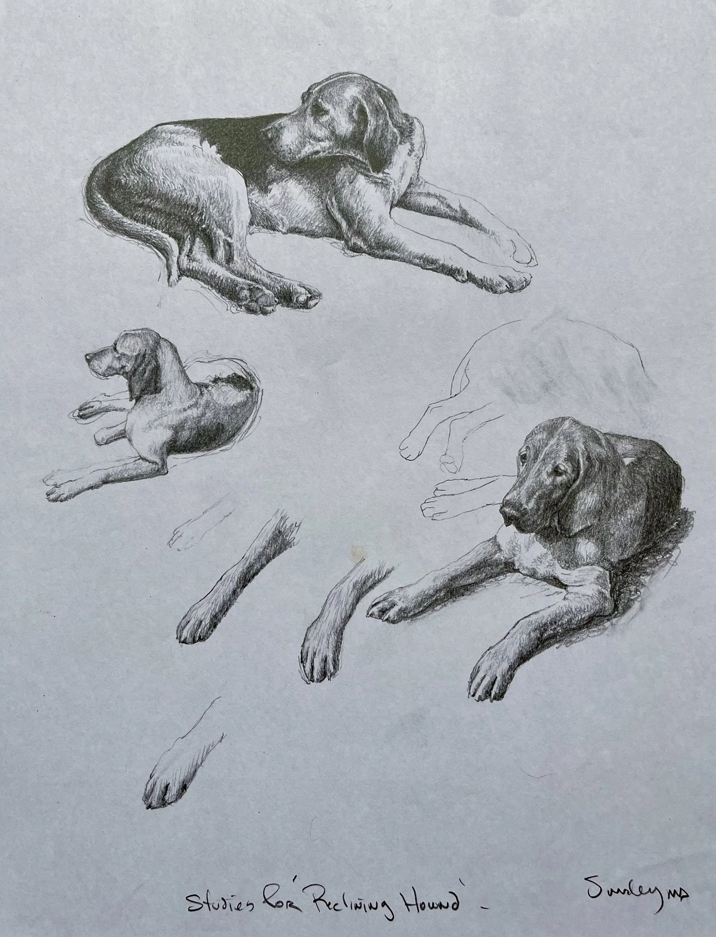 2A. Studies for Reclining Hound bronze.