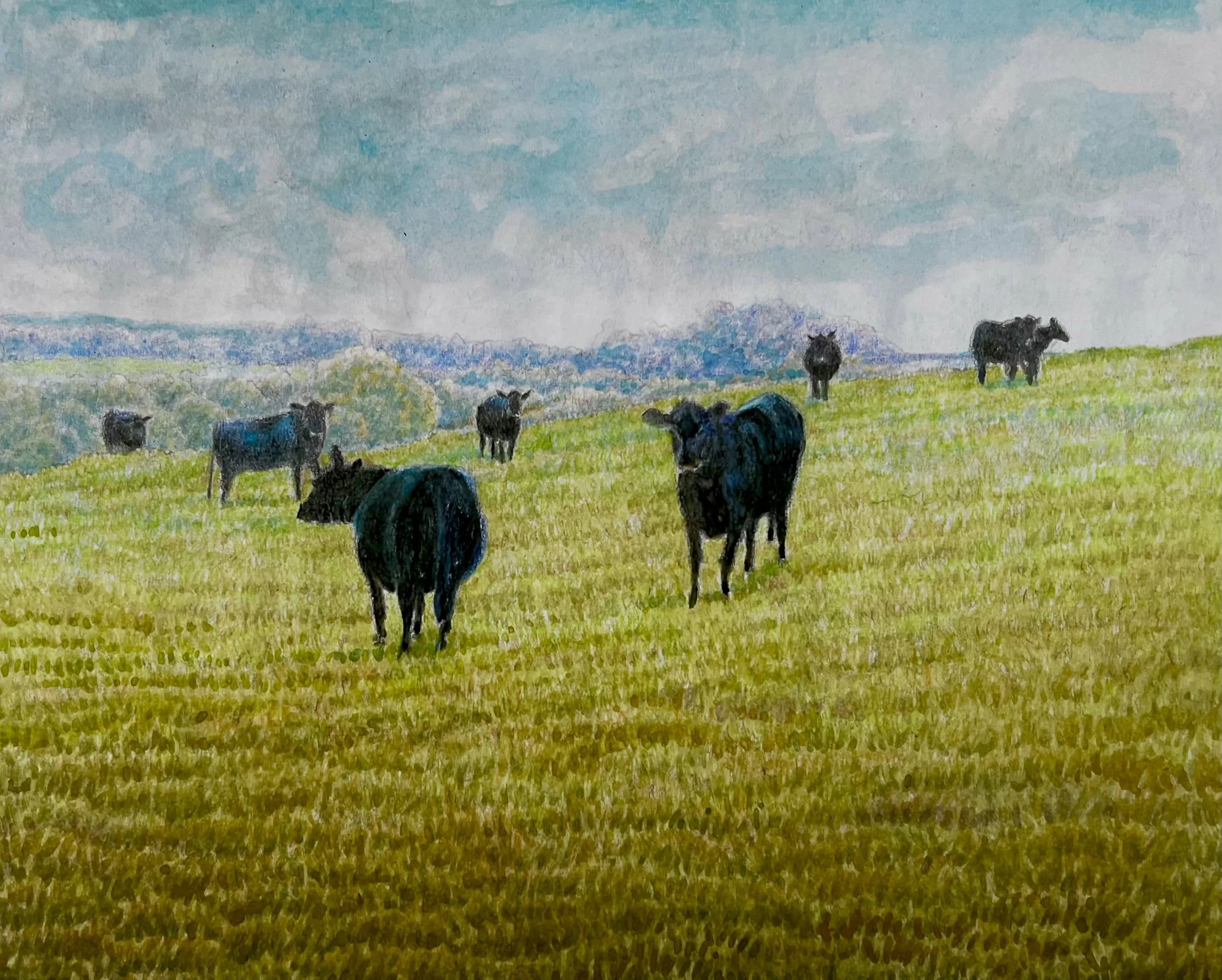 8. Turney's Black Angus.
