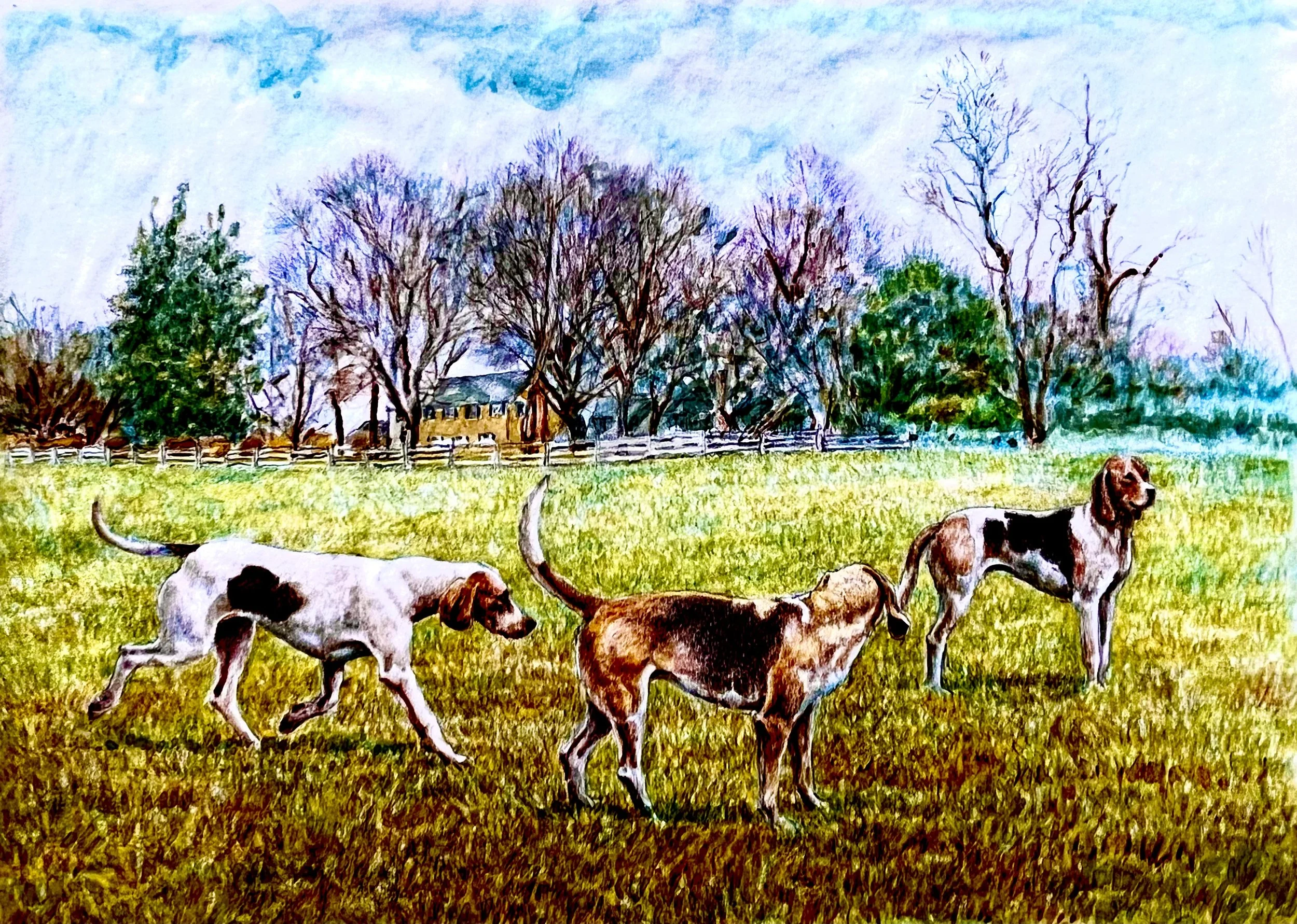 12. Houdwalking