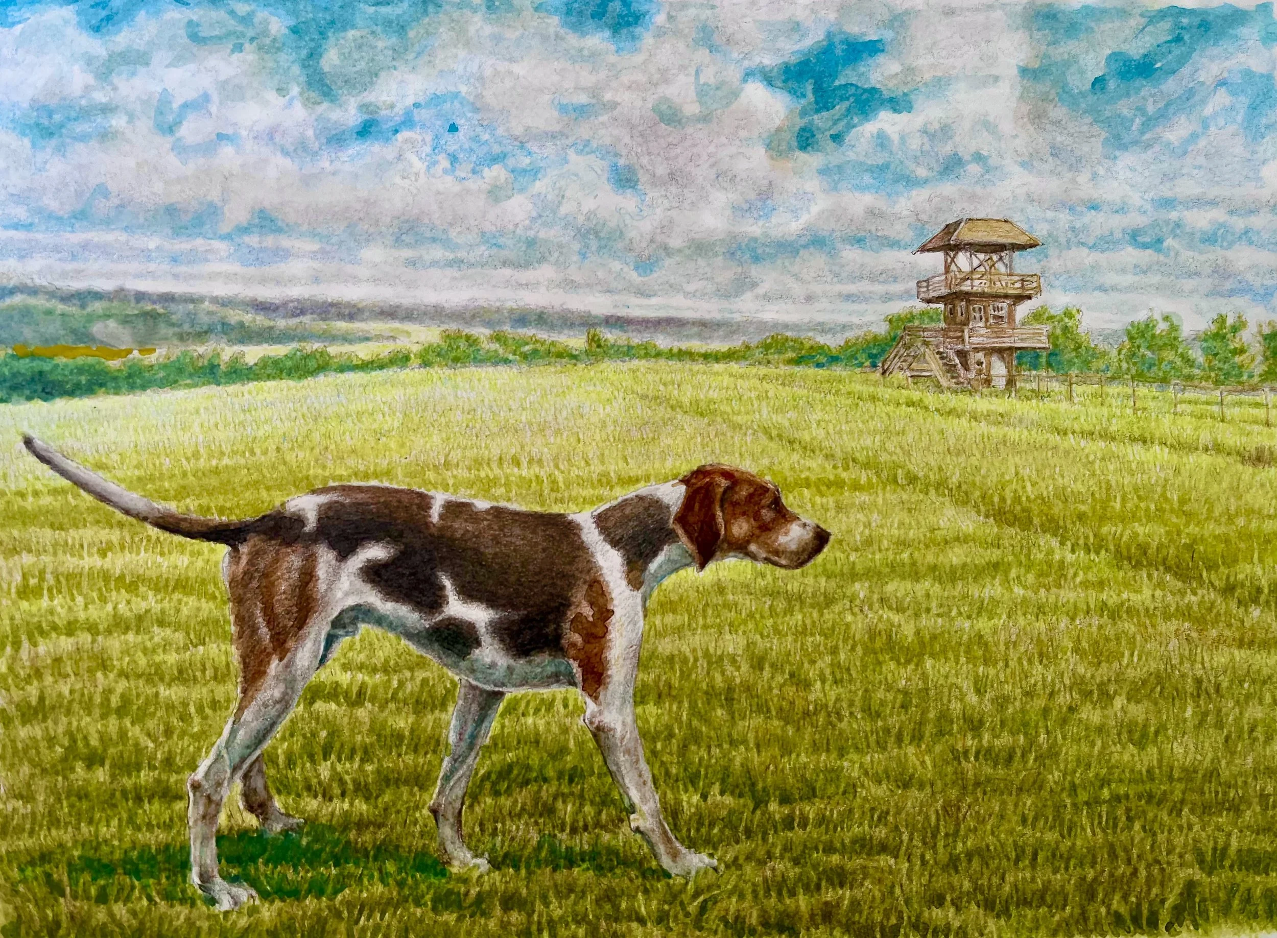 15. Farmer