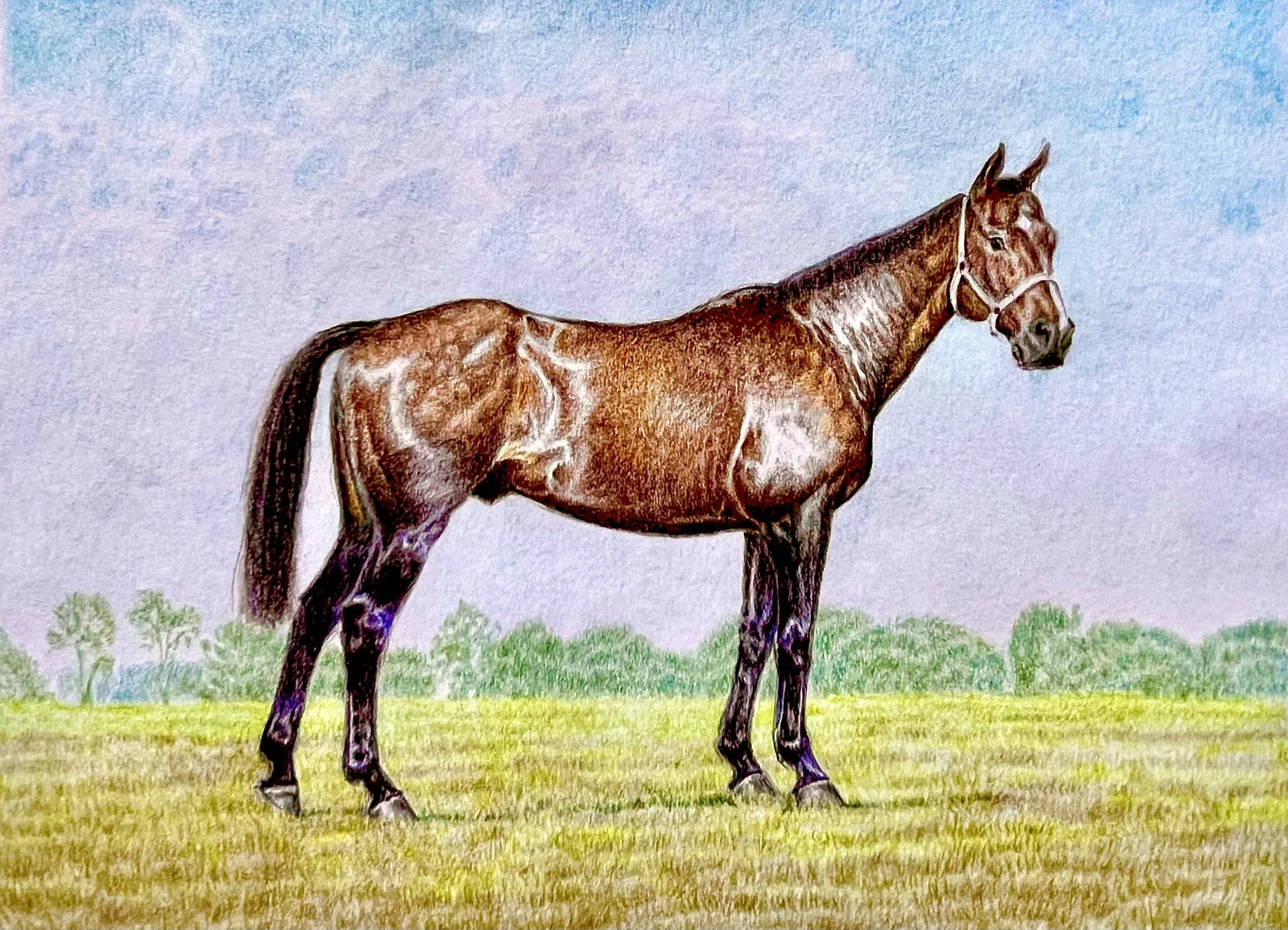17.  Norman Conquest.