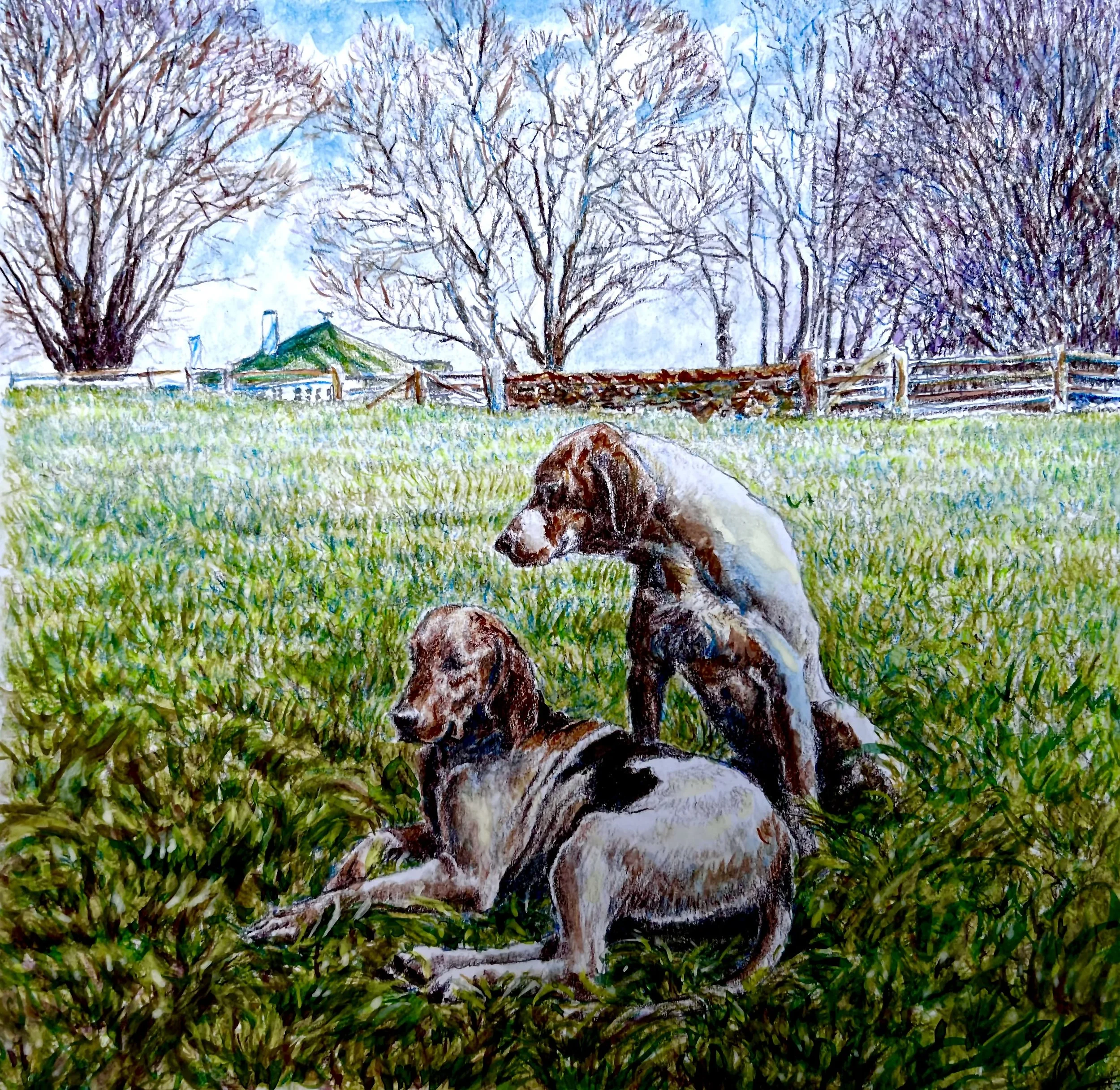 26. Hounds in front of Bachelor's quarters.