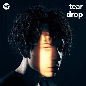 Tokyo's Revenge added to Spotify's "Tear Drop" 