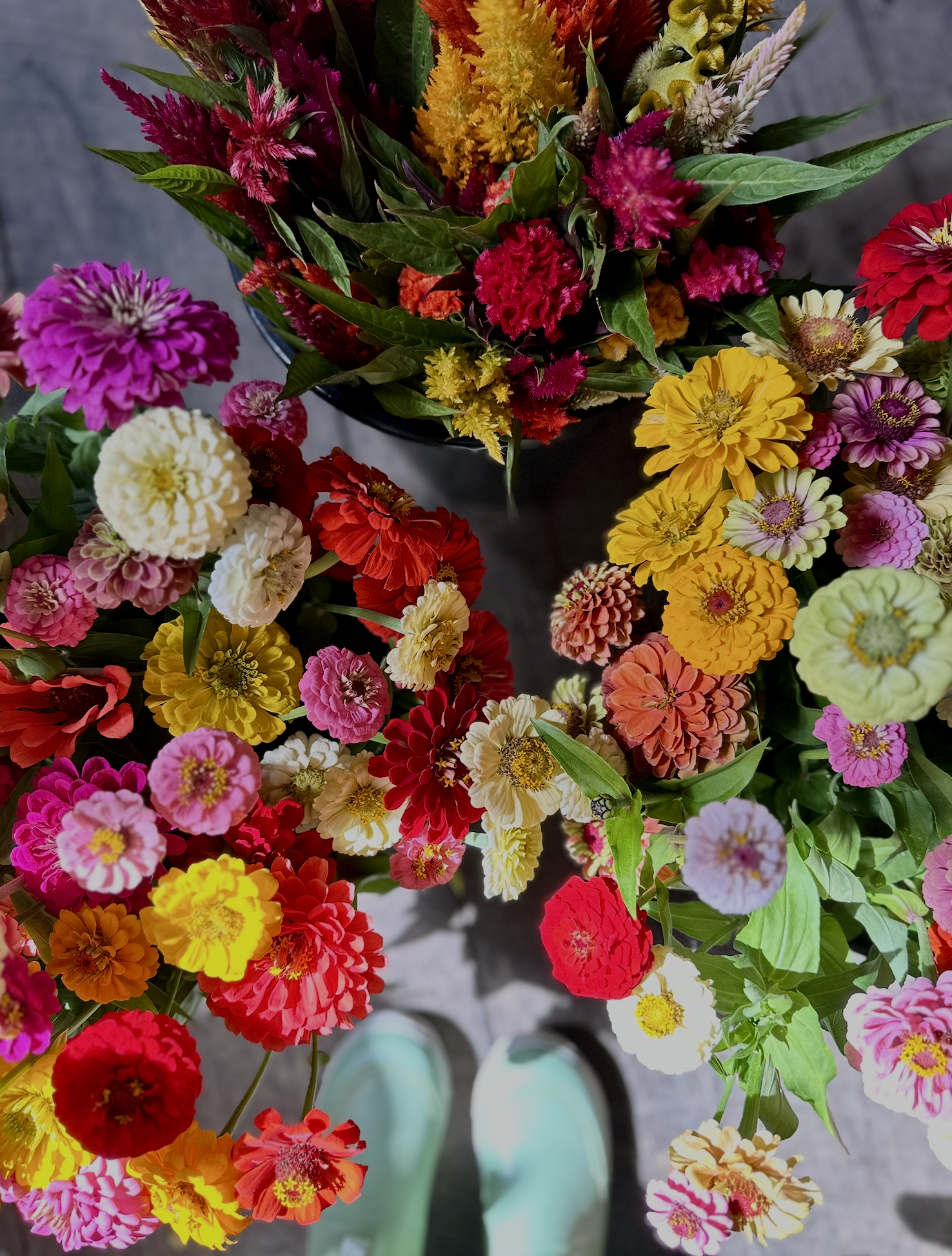 Screenshot 2026-03-02 at 1.28.43 PM.png