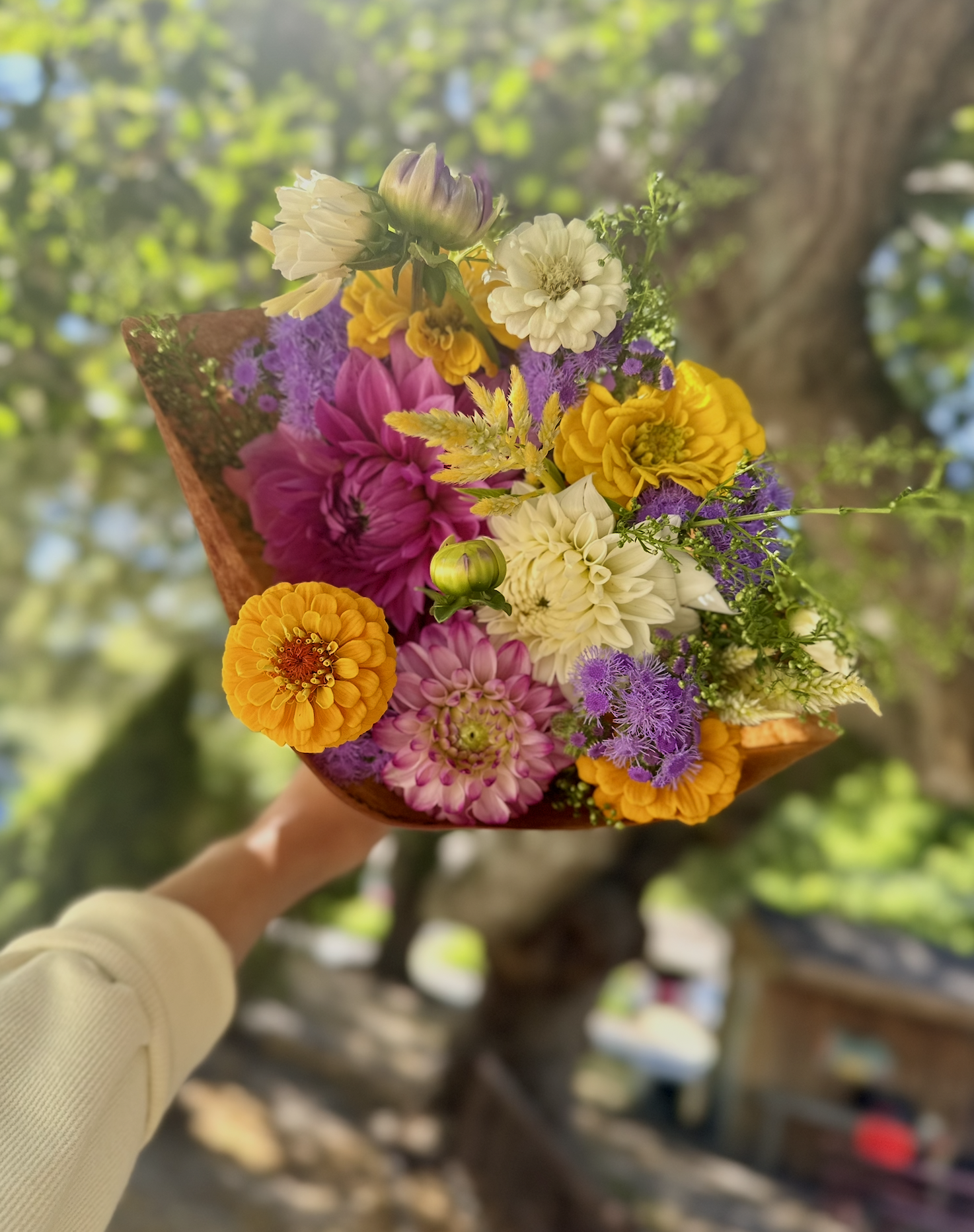 Screenshot 2026-03-02 at 1.28.24 PM.png