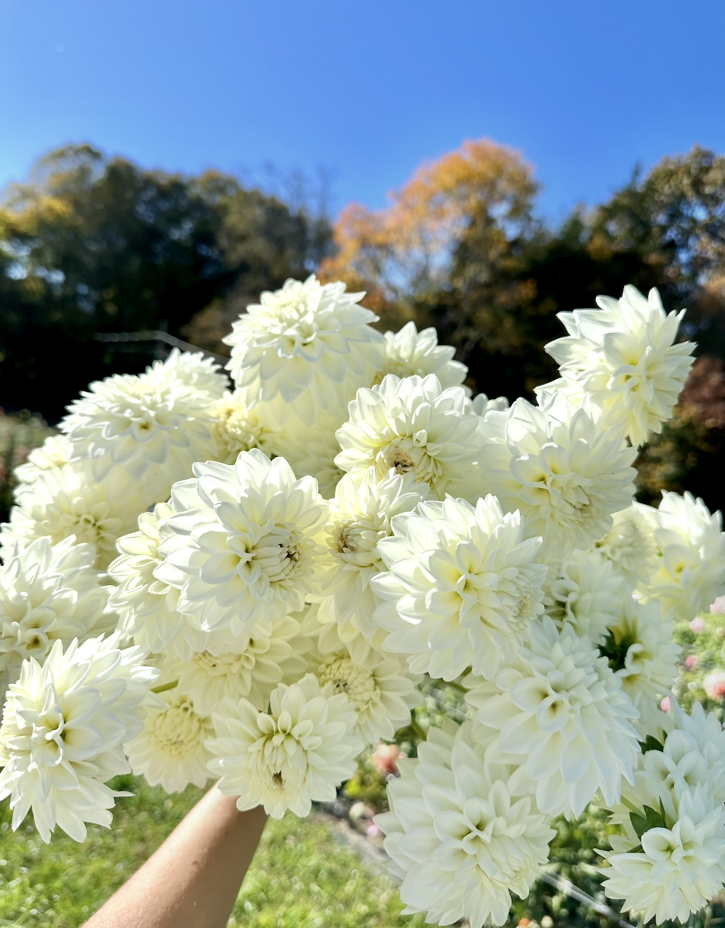 Screenshot 2026-03-02 at 1.28.17 PM.png