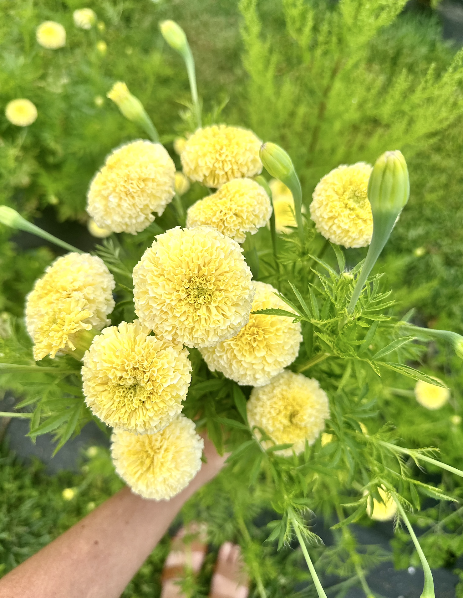 Screenshot 2026-03-02 at 1.28.08 PM.png