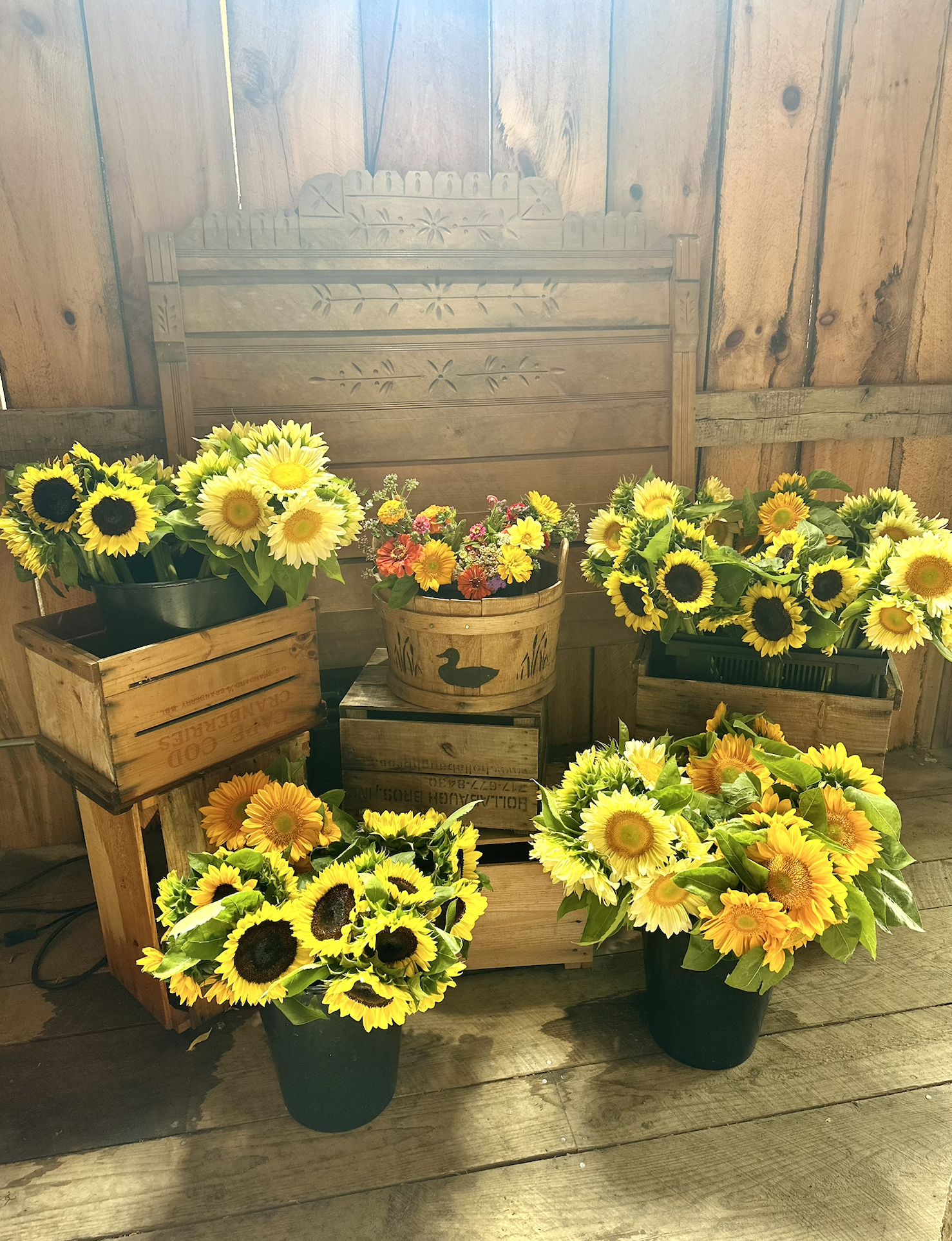 Screenshot 2026-03-02 at 1.28.00 PM.png