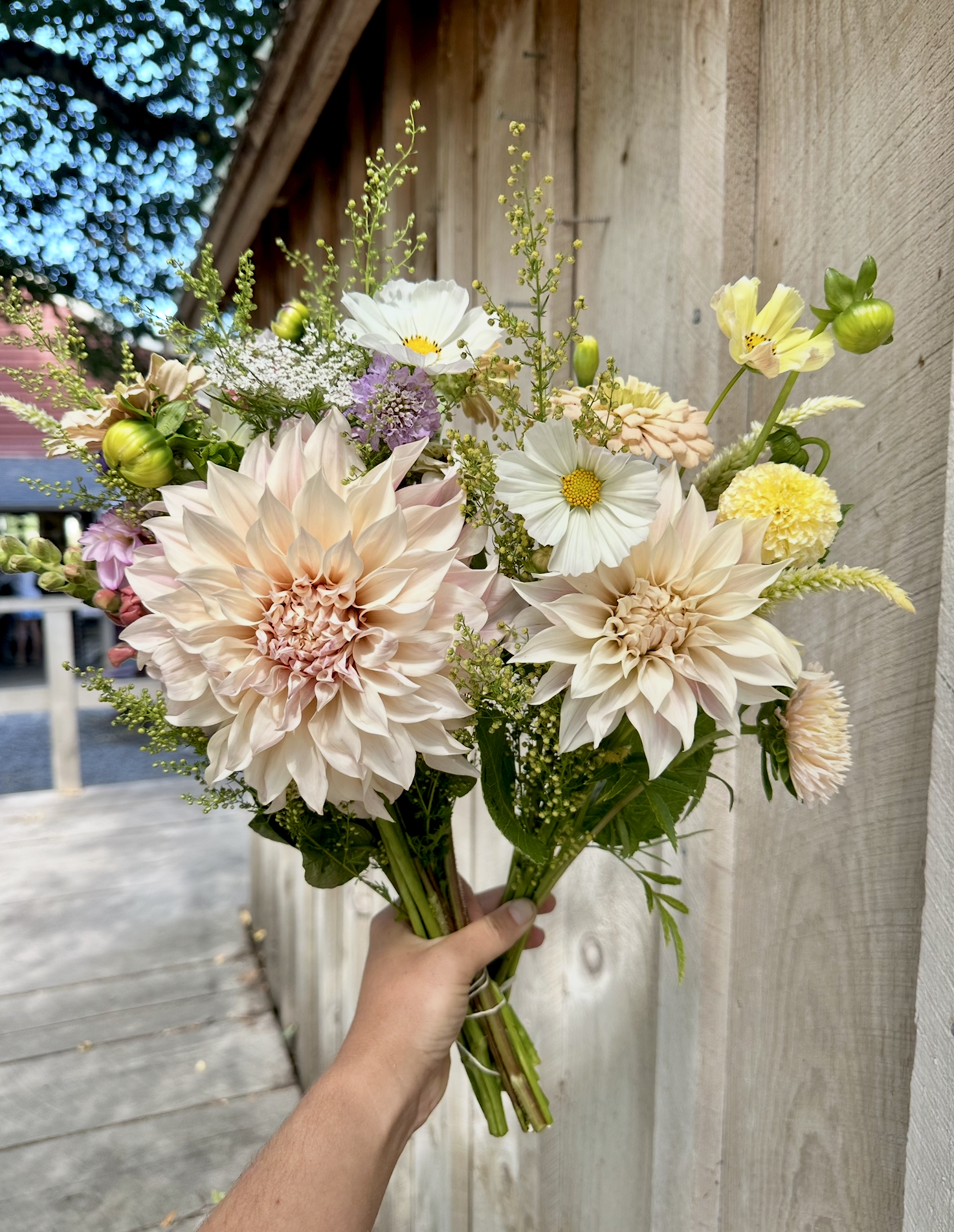 Screenshot 2026-03-02 at 1.42.42 PM.png