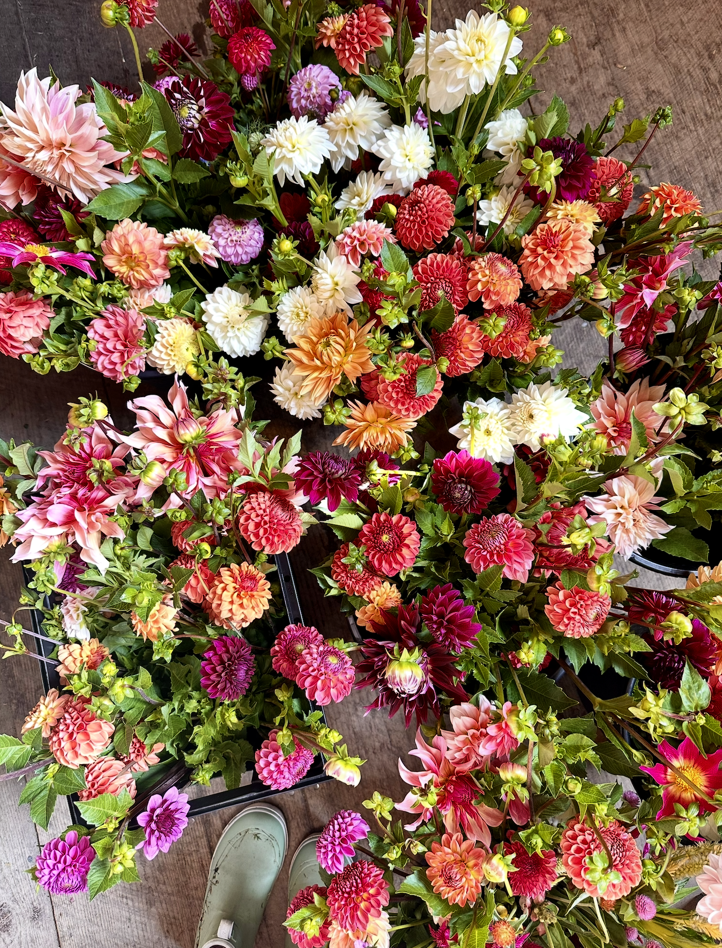 Screenshot 2026-03-02 at 1.42.49 PM.png