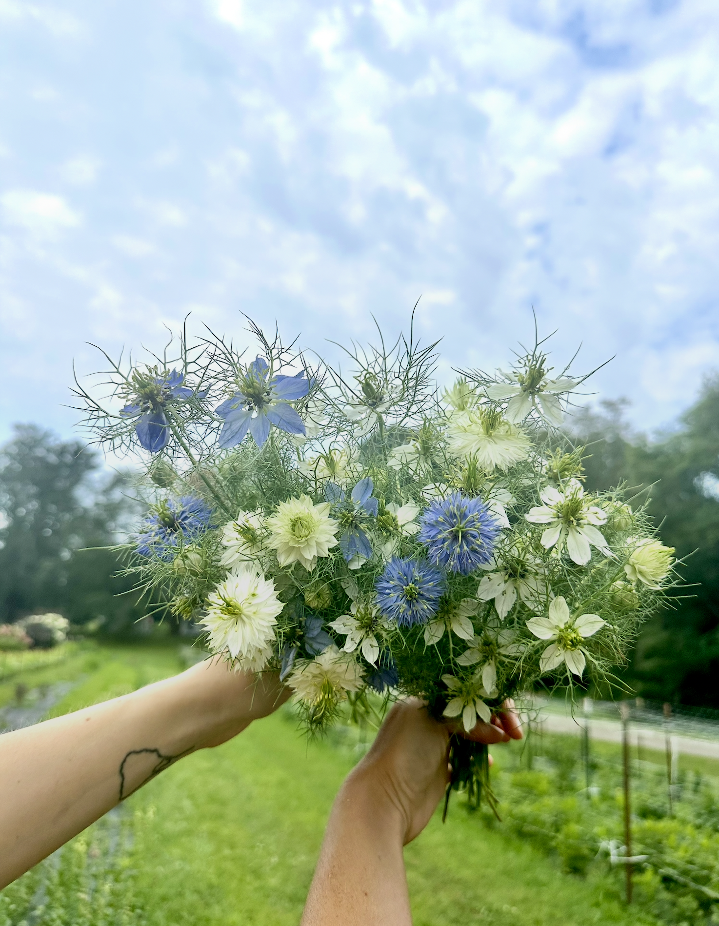 Screenshot 2026-03-02 at 1.41.49 PM.png