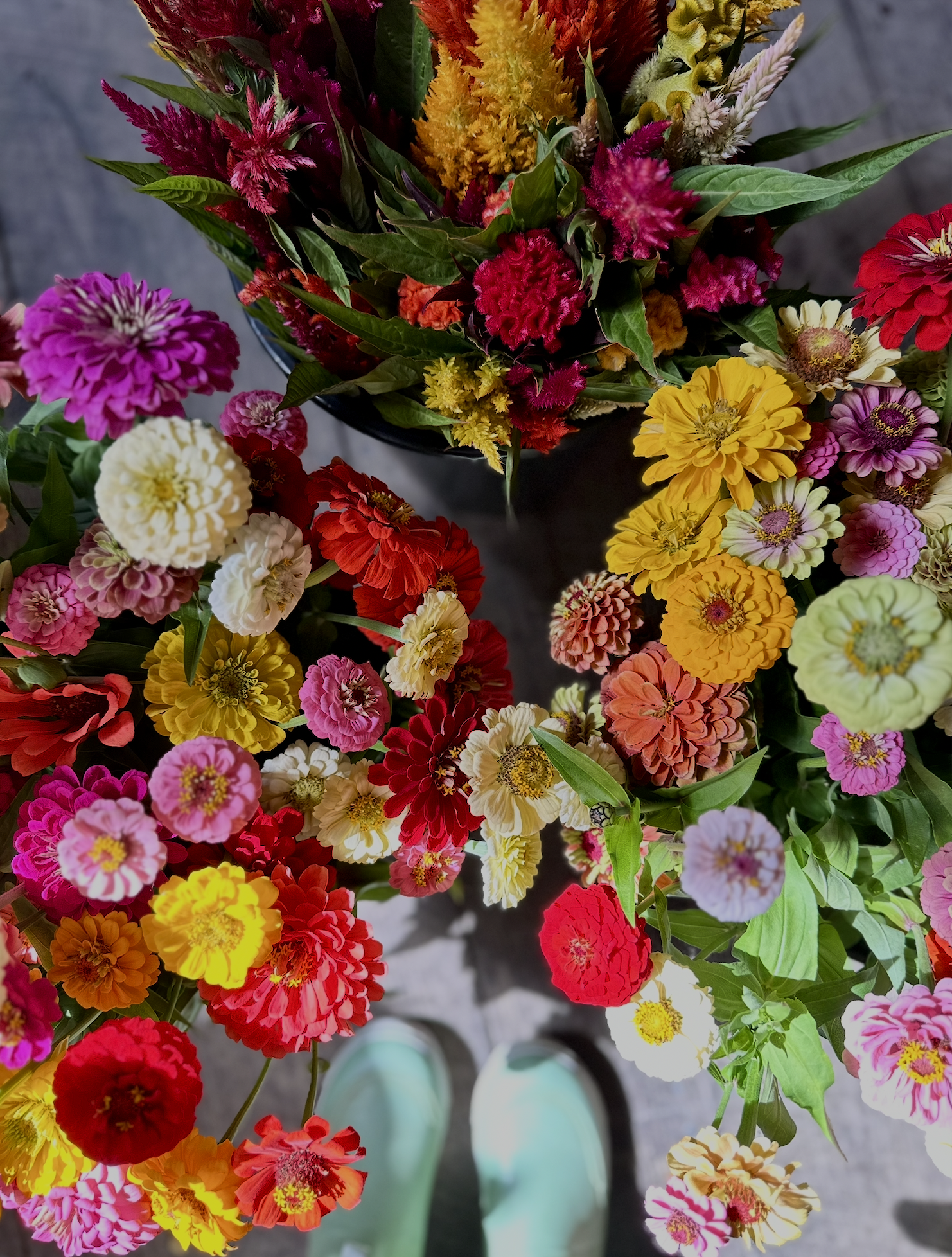 Screenshot 2026-03-02 at 1.41.59 PM.png