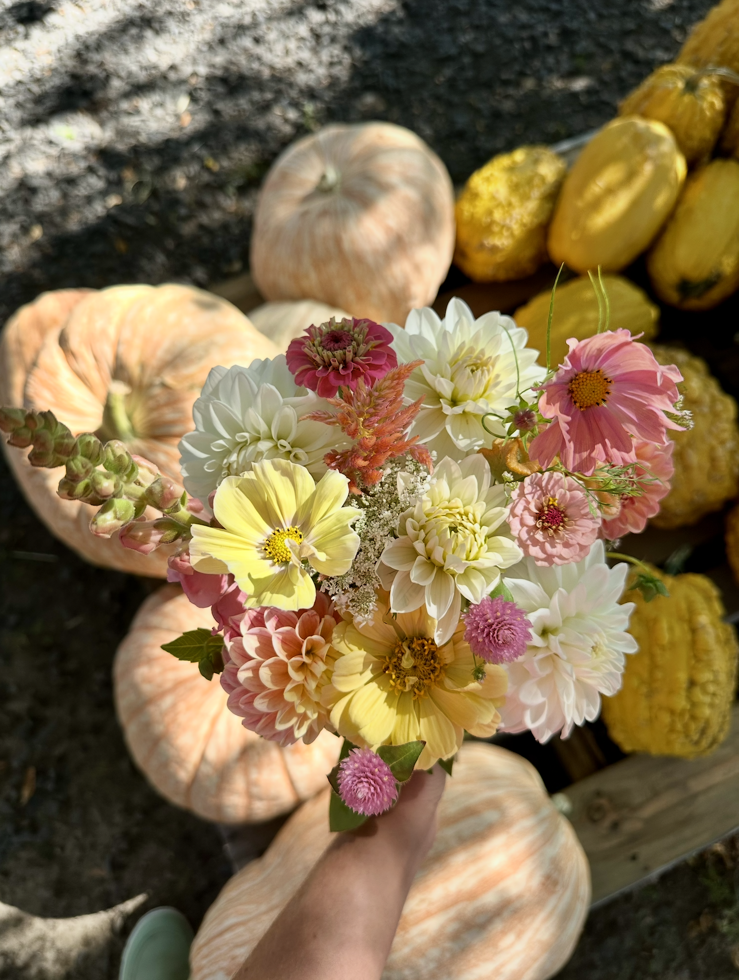 Screenshot 2026-03-02 at 1.54.53 PM.png