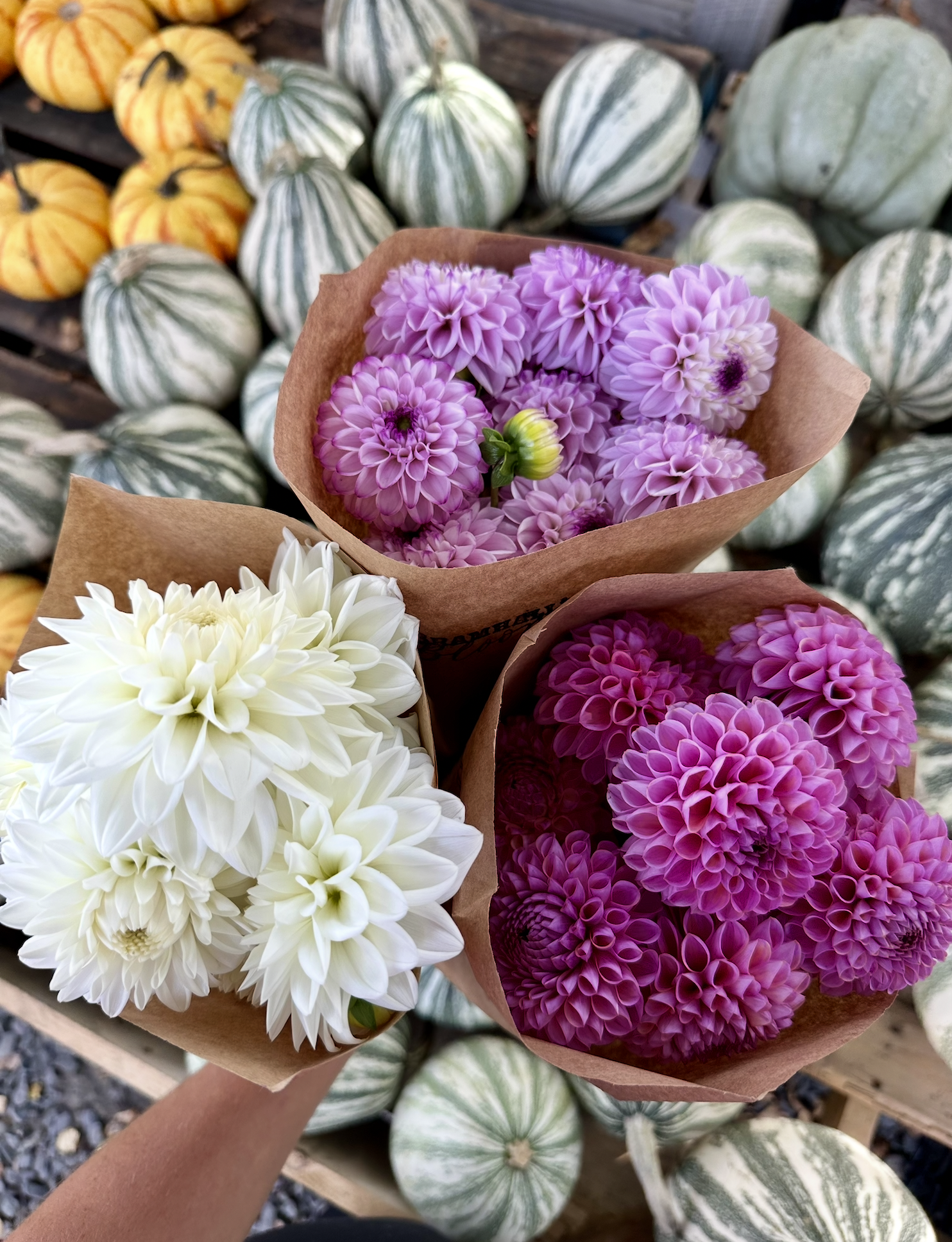 Screenshot 2026-03-02 at 1.54.59 PM.png