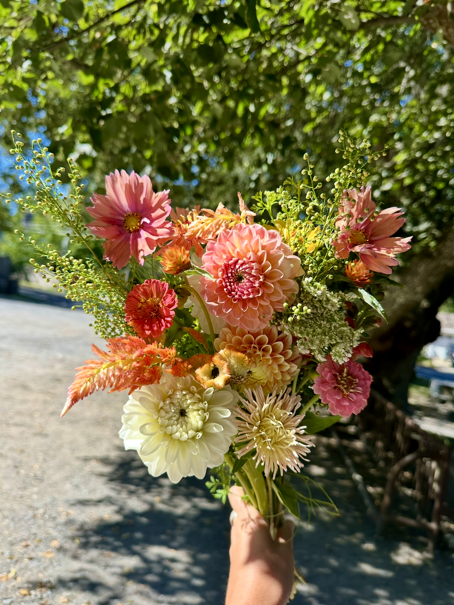 Screenshot 2026-03-02 at 1.54.41 PM.png