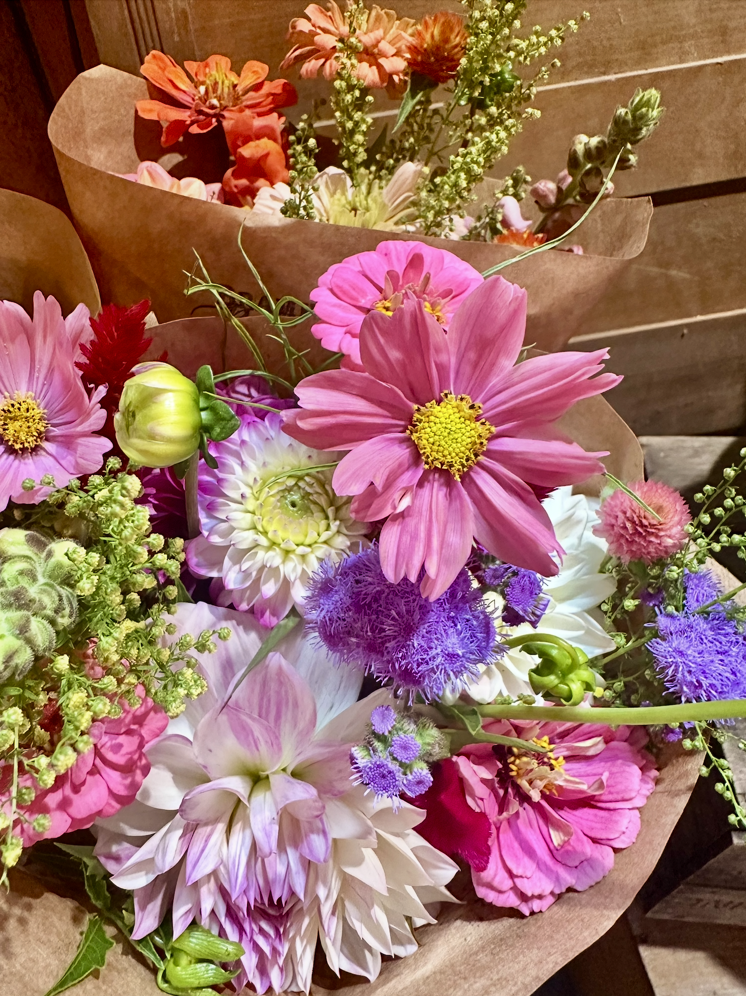 Screenshot 2026-03-02 at 1.54.17 PM.png