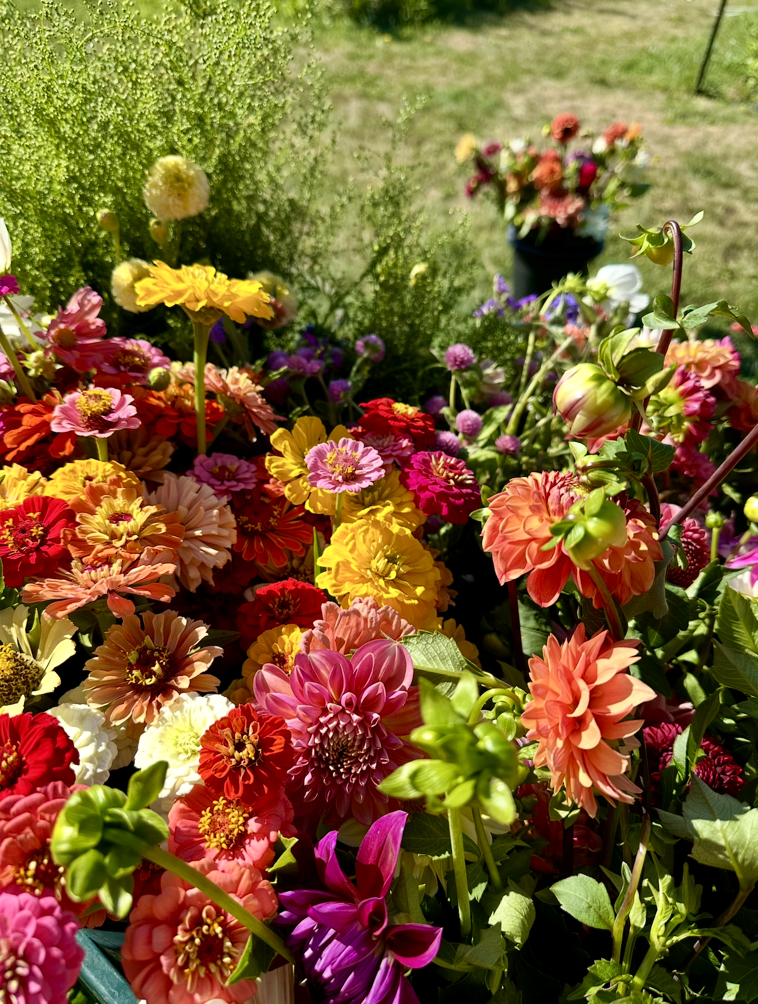 Screenshot 2026-03-02 at 1.53.55 PM.png