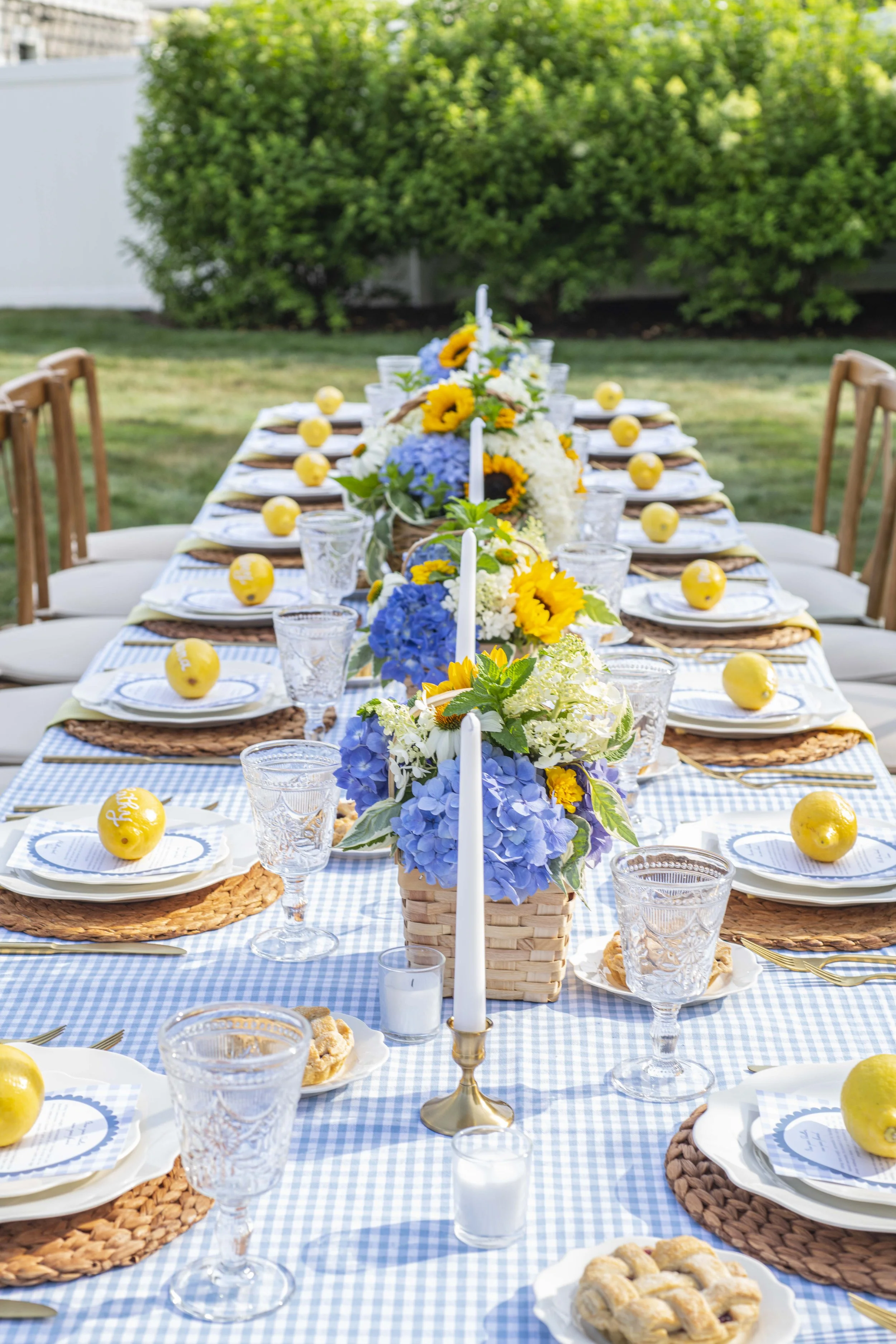 Alante Summer Picnic