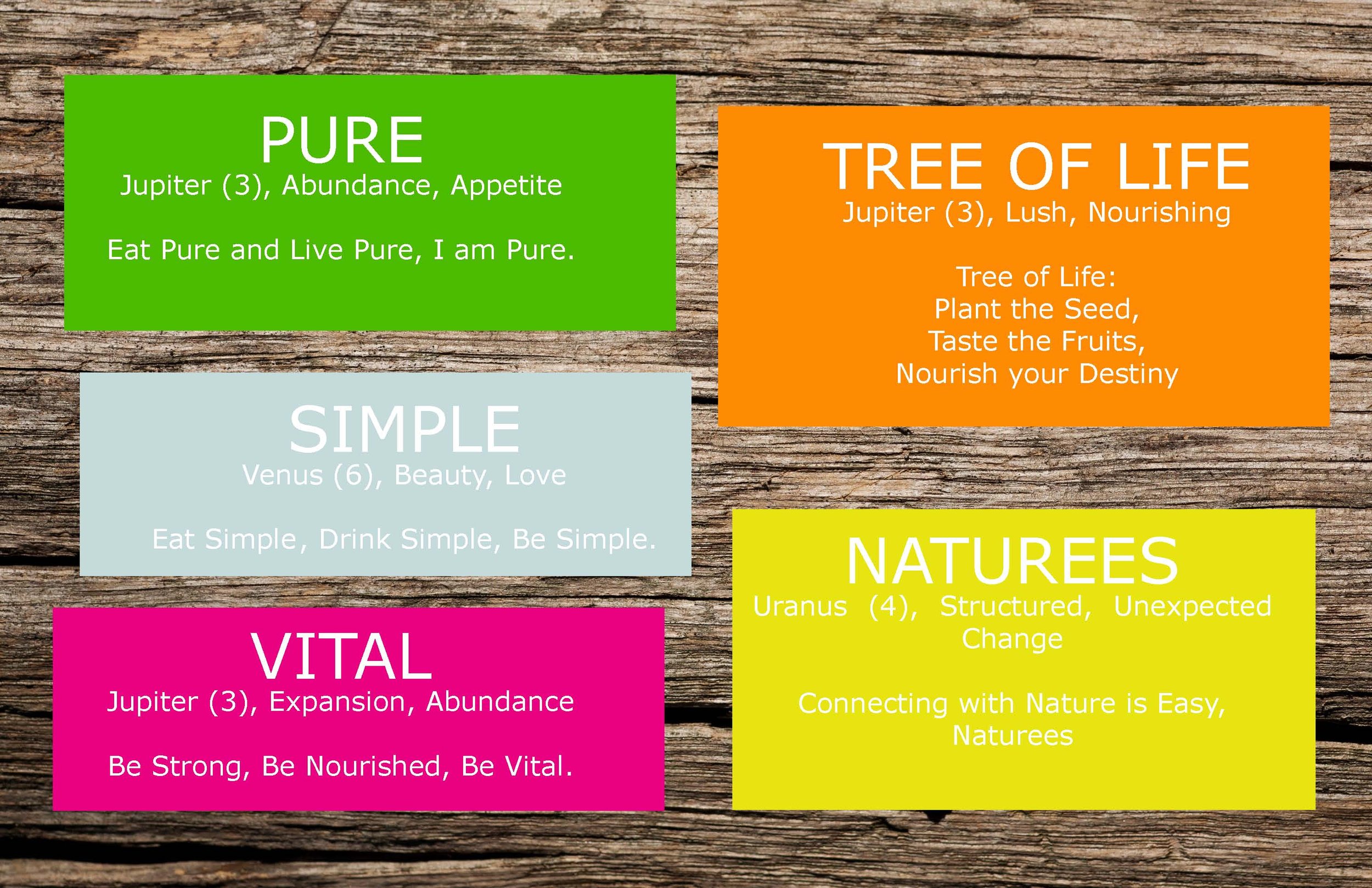 Juice Space NYC - 01 Creative-Deck-01.3_Page_12.jpg