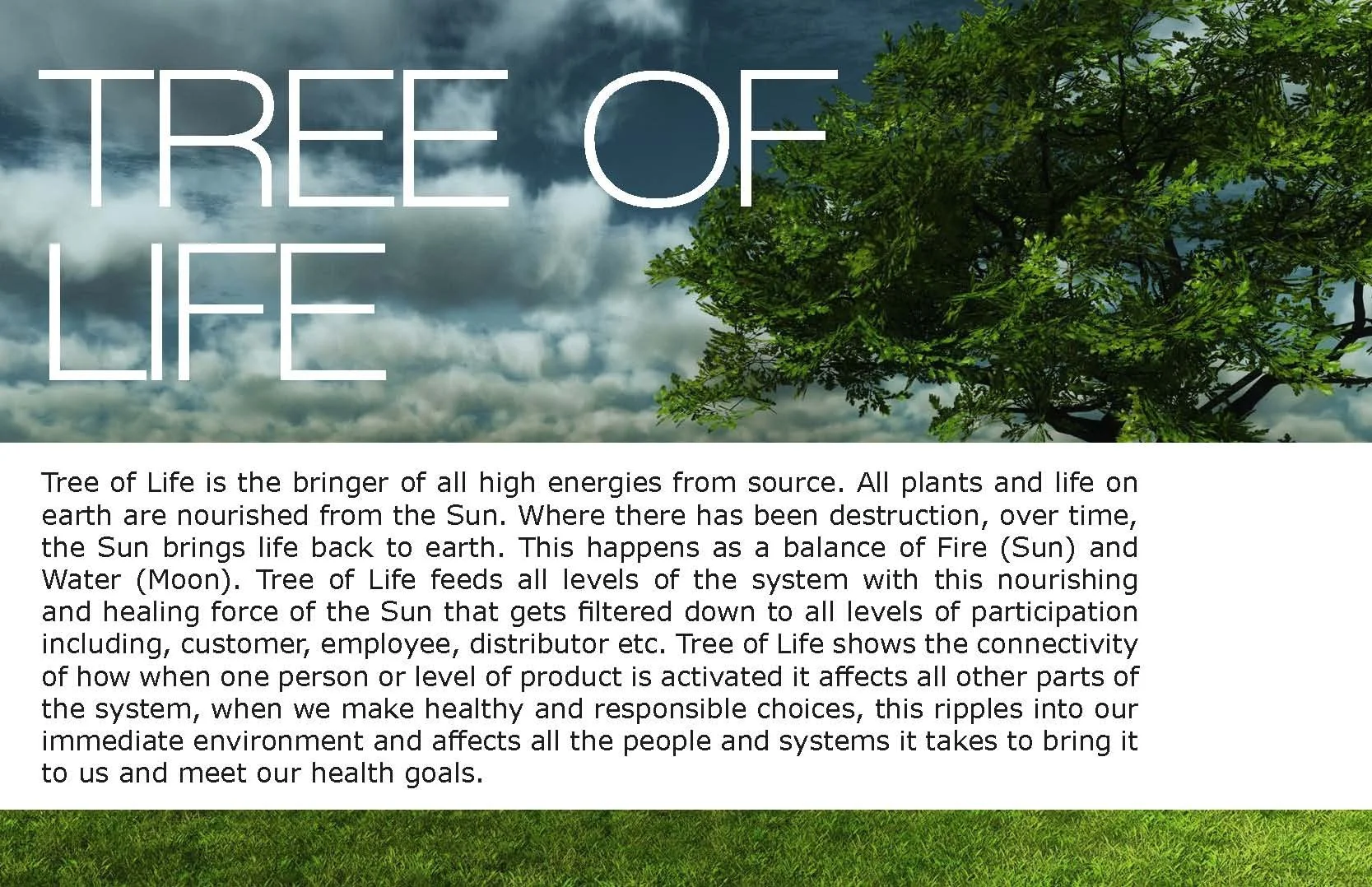 Juice Space NYC - 01 Creative-Deck-01.3_Page_31.jpg