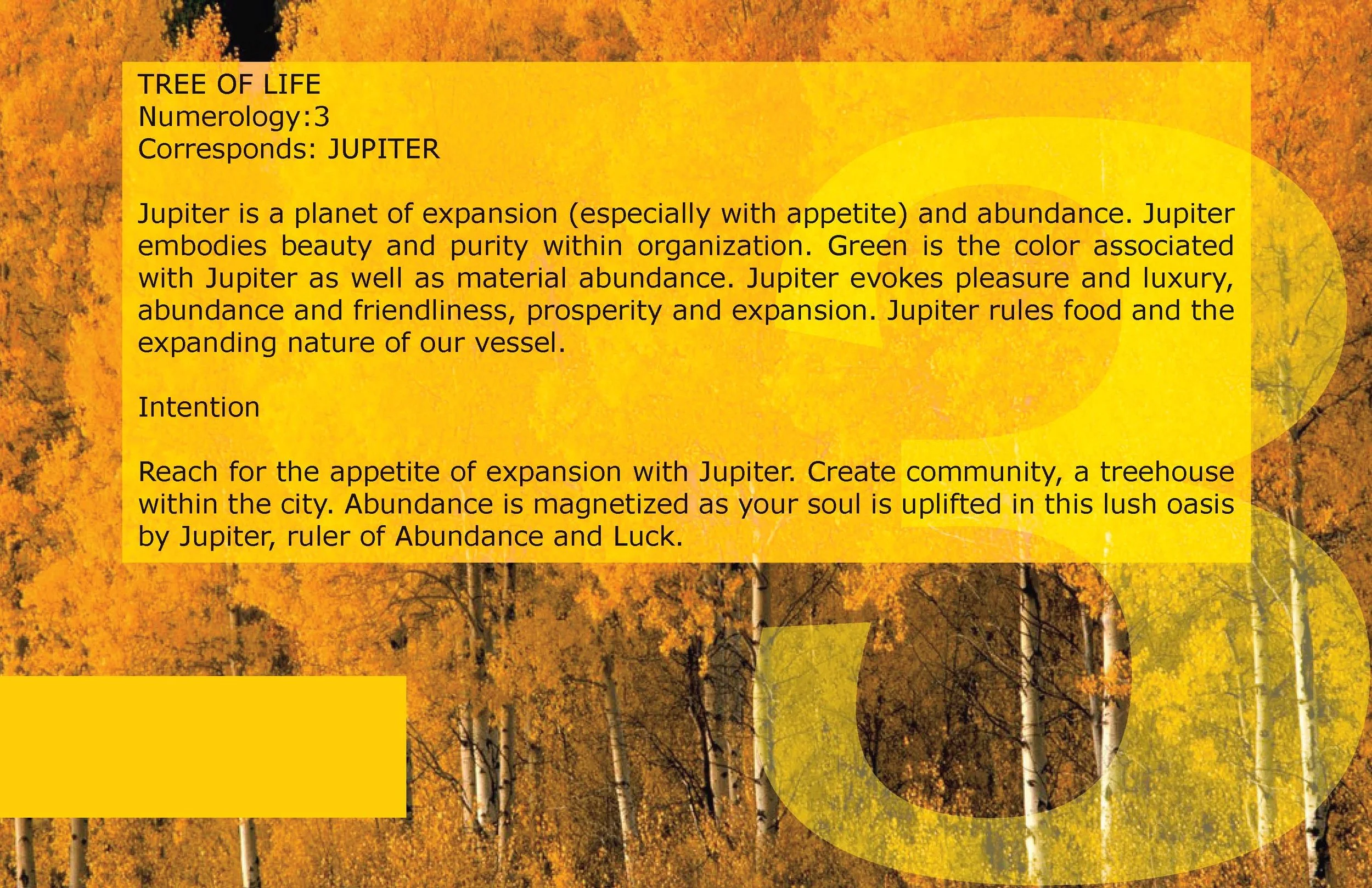 Juice Space NYC - 01 Creative-Deck-01.3_Page_34.jpg