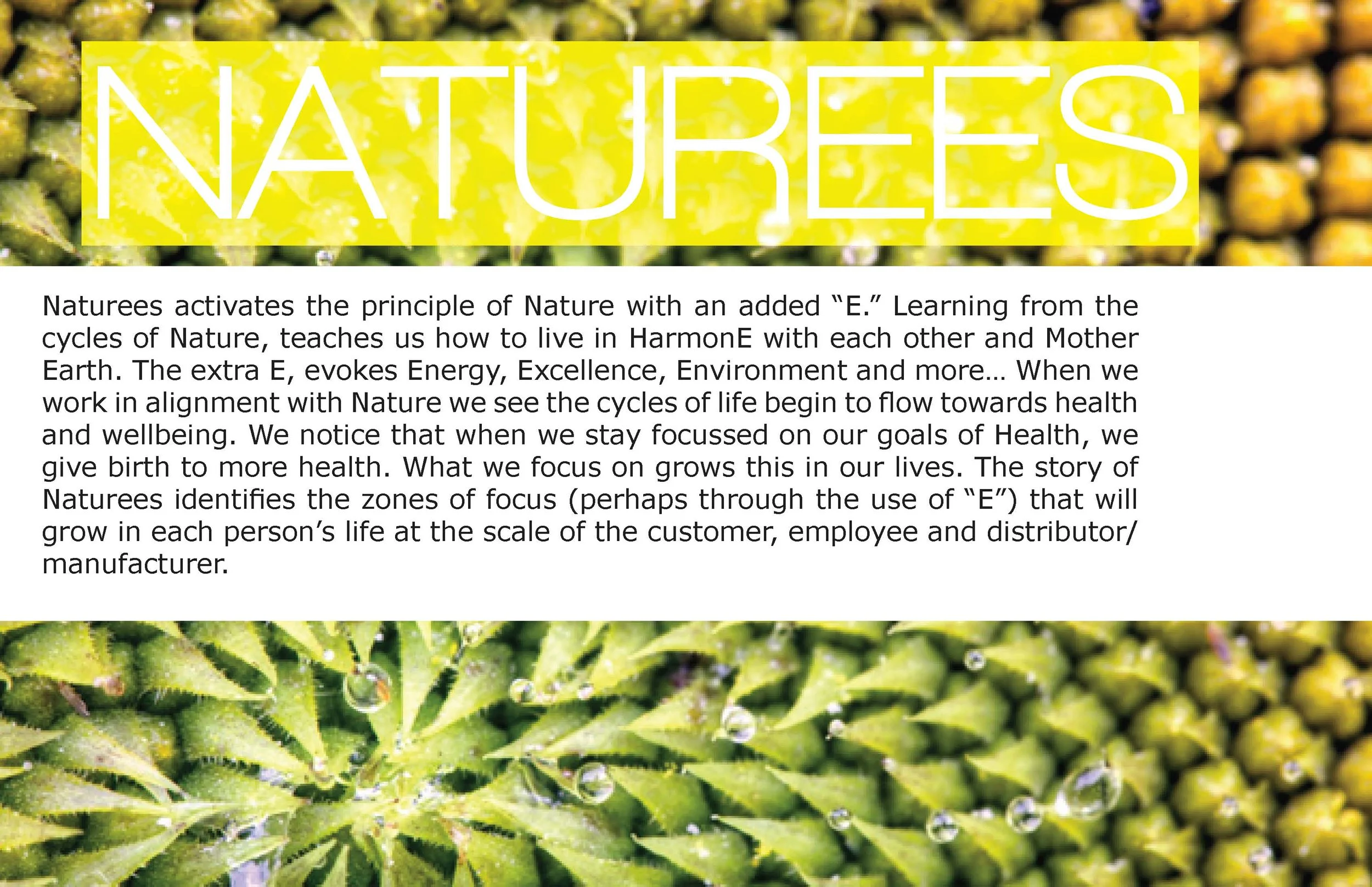 Juice Space NYC - 01 Creative-Deck-01.3_Page_36.jpg