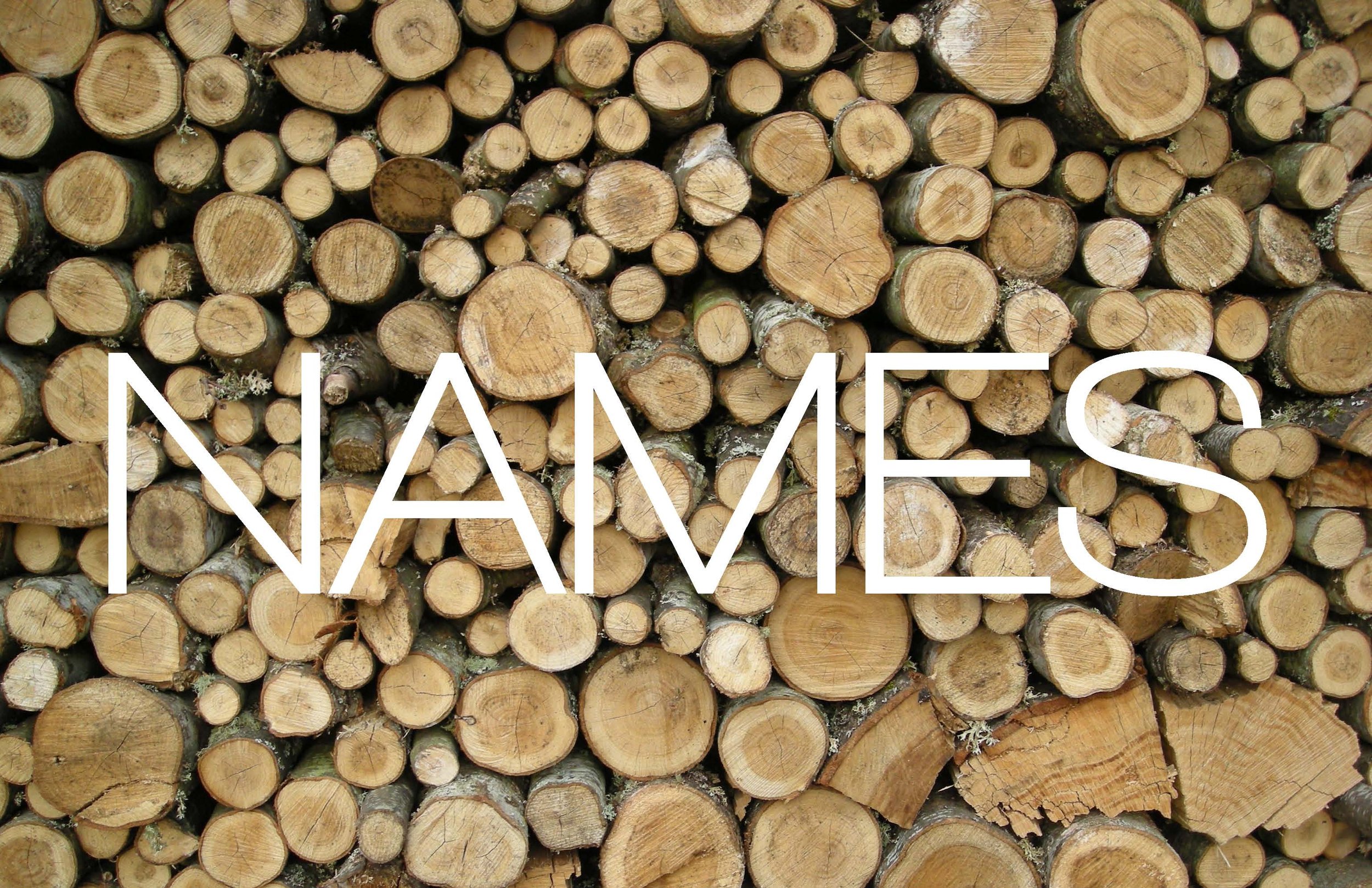 Juice Space NYC - 02 Creative-Deck-02.2_Page_05.jpg