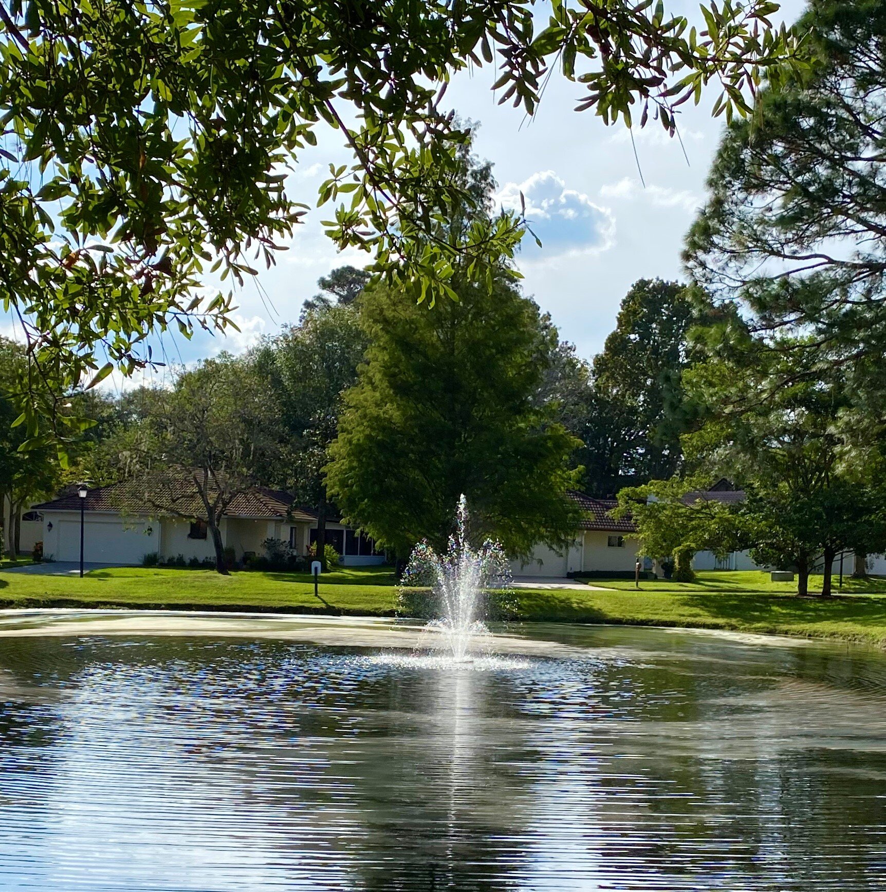 pond.jpg