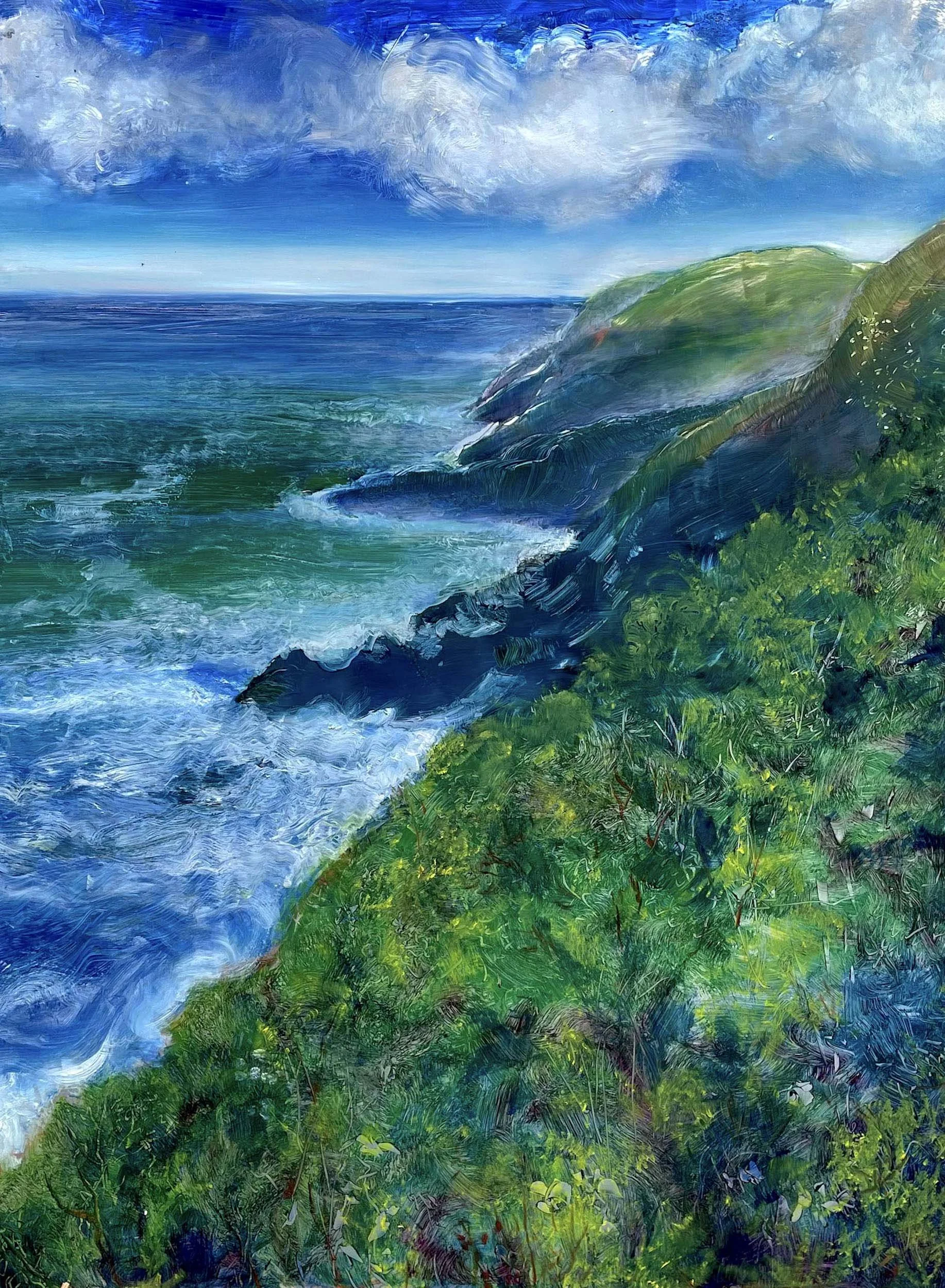 The Coast of Hawaii