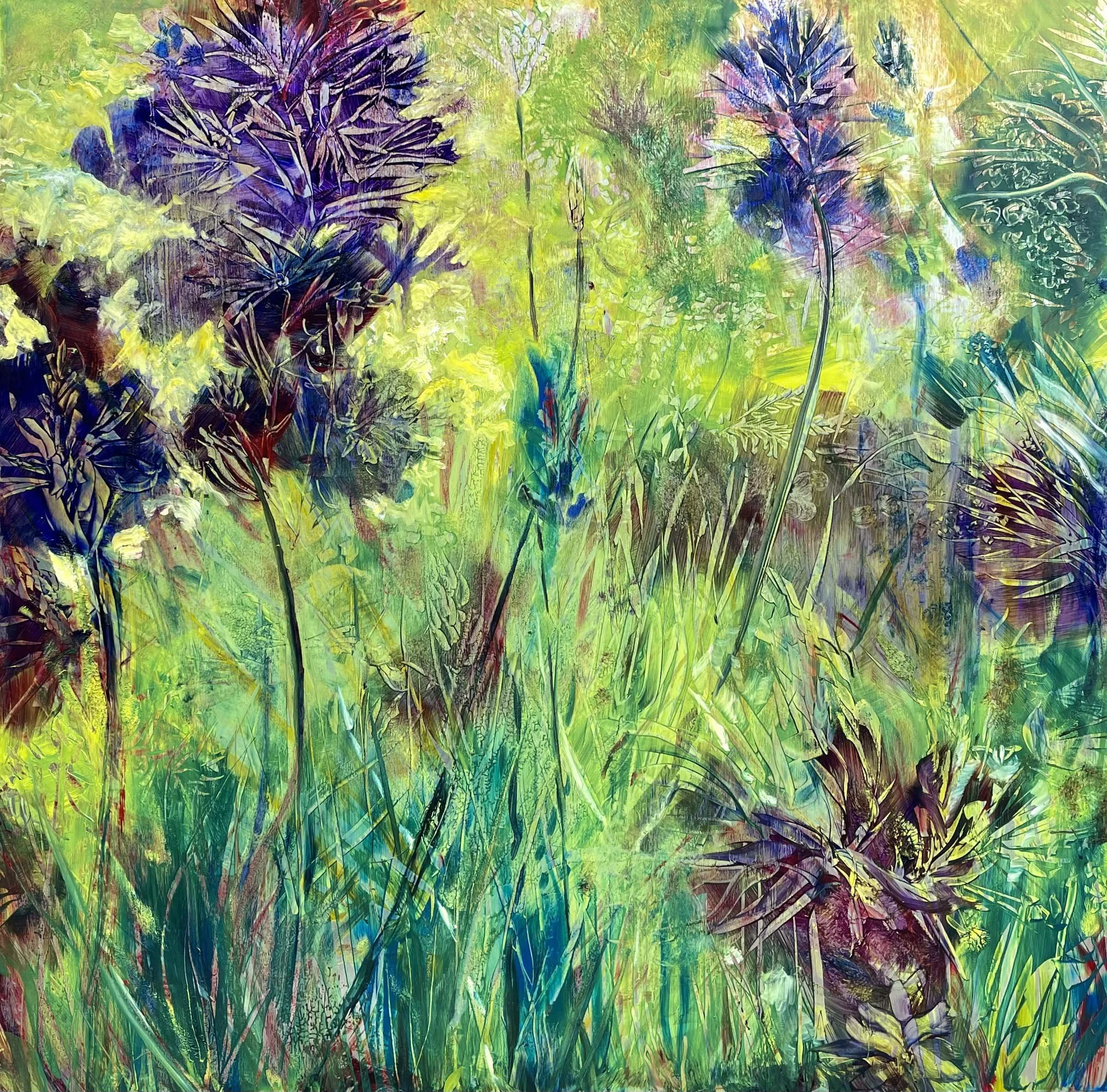 Agapanthus
