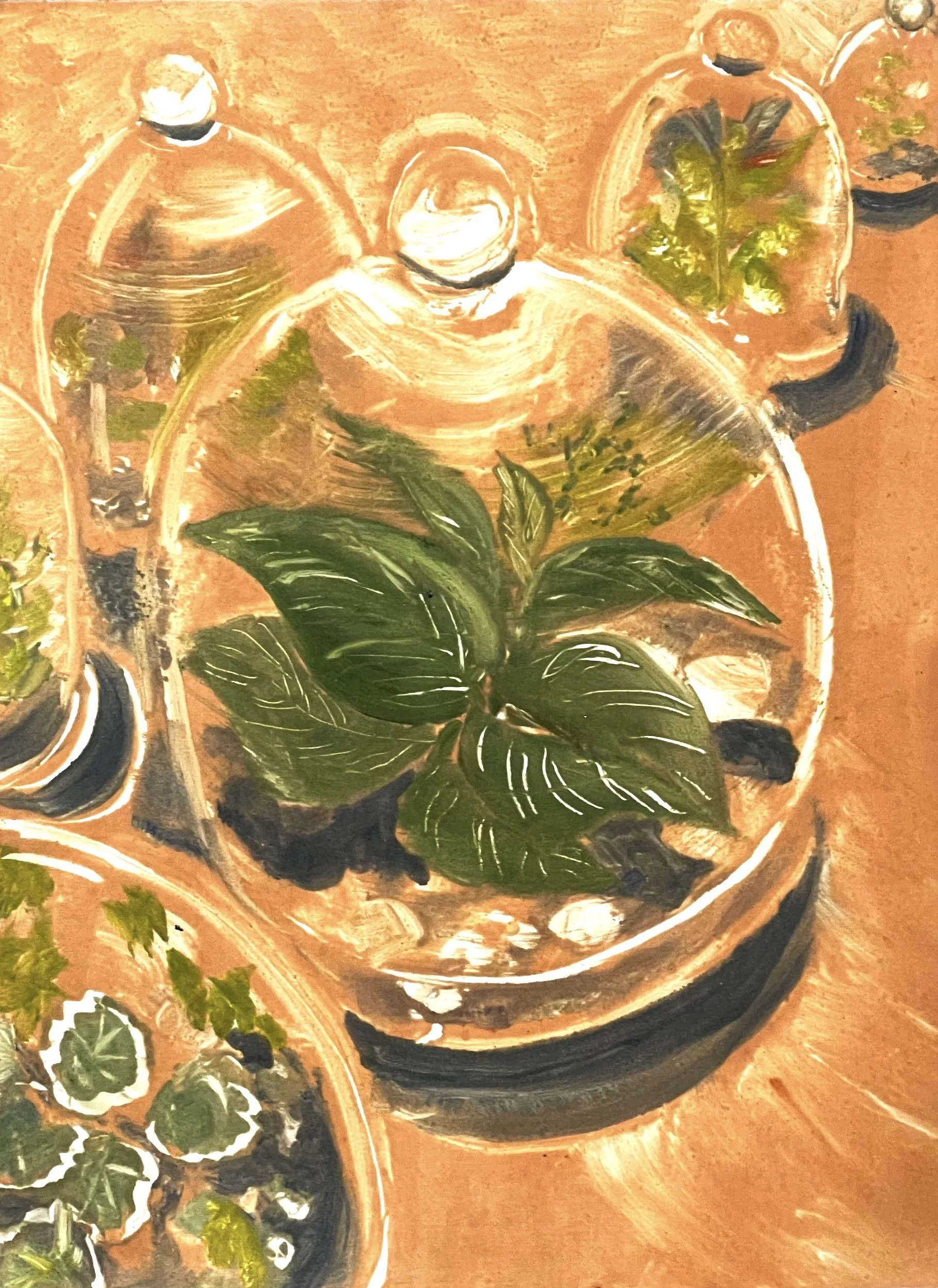 Muddy Toes Terrariums