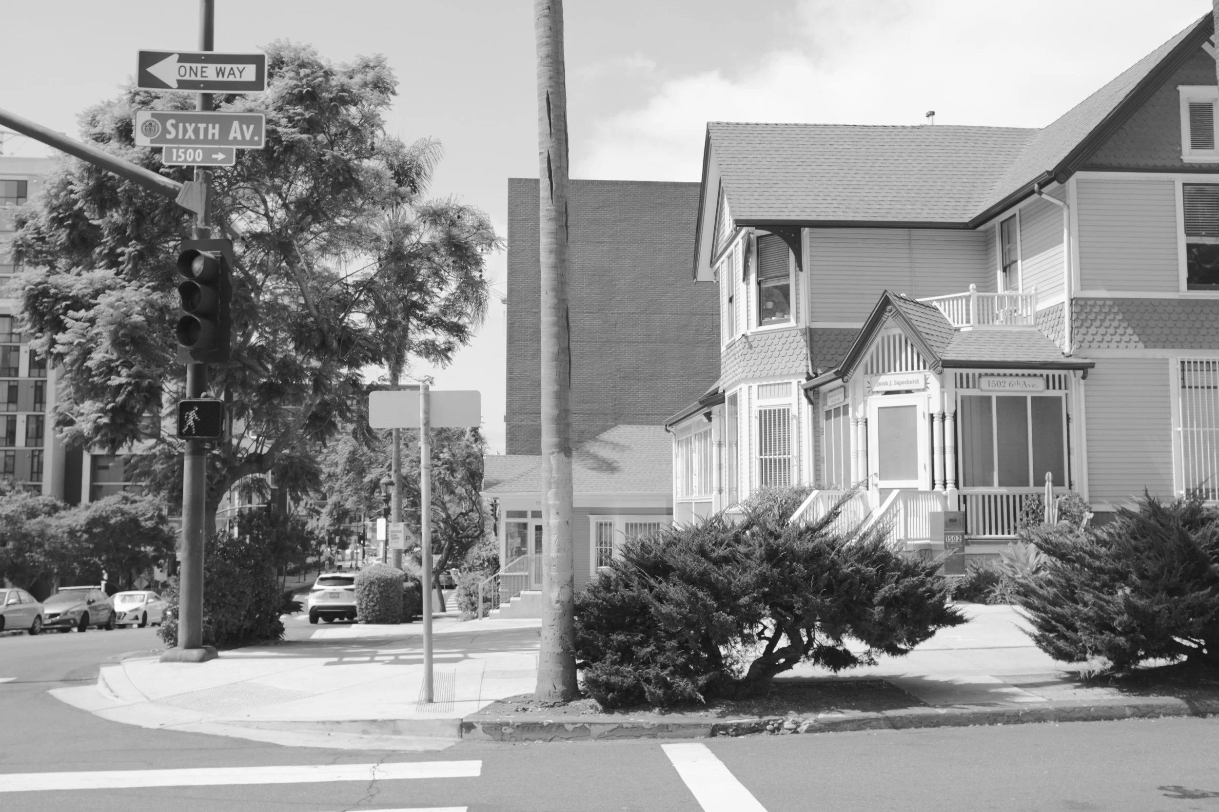 _DSF1978.jpeg