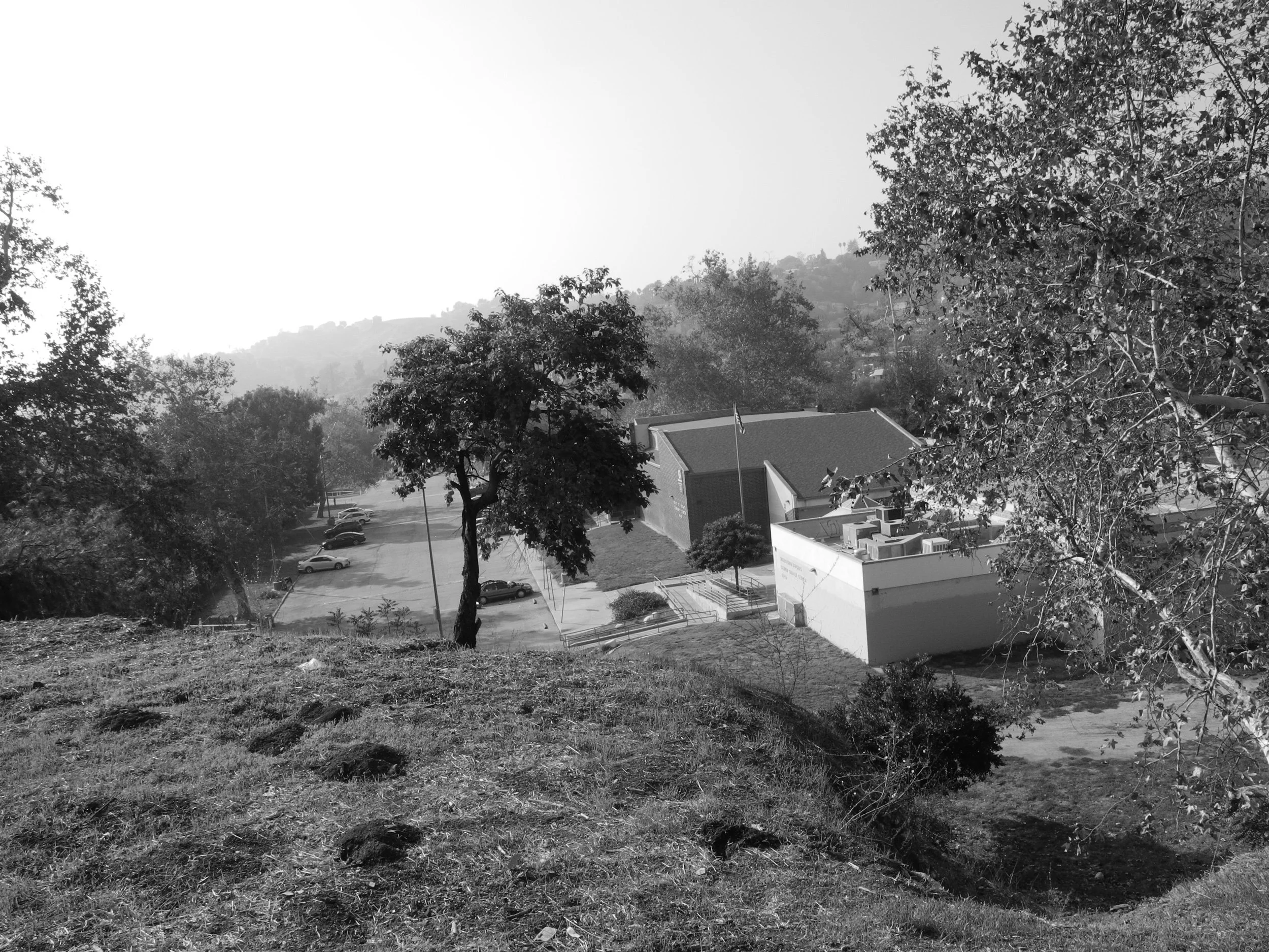 DSCN7207.jpeg