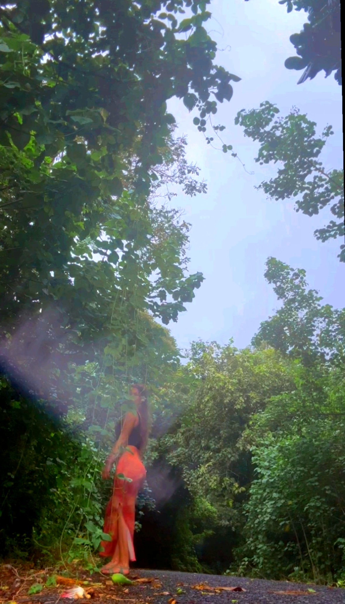Image 3.PNG