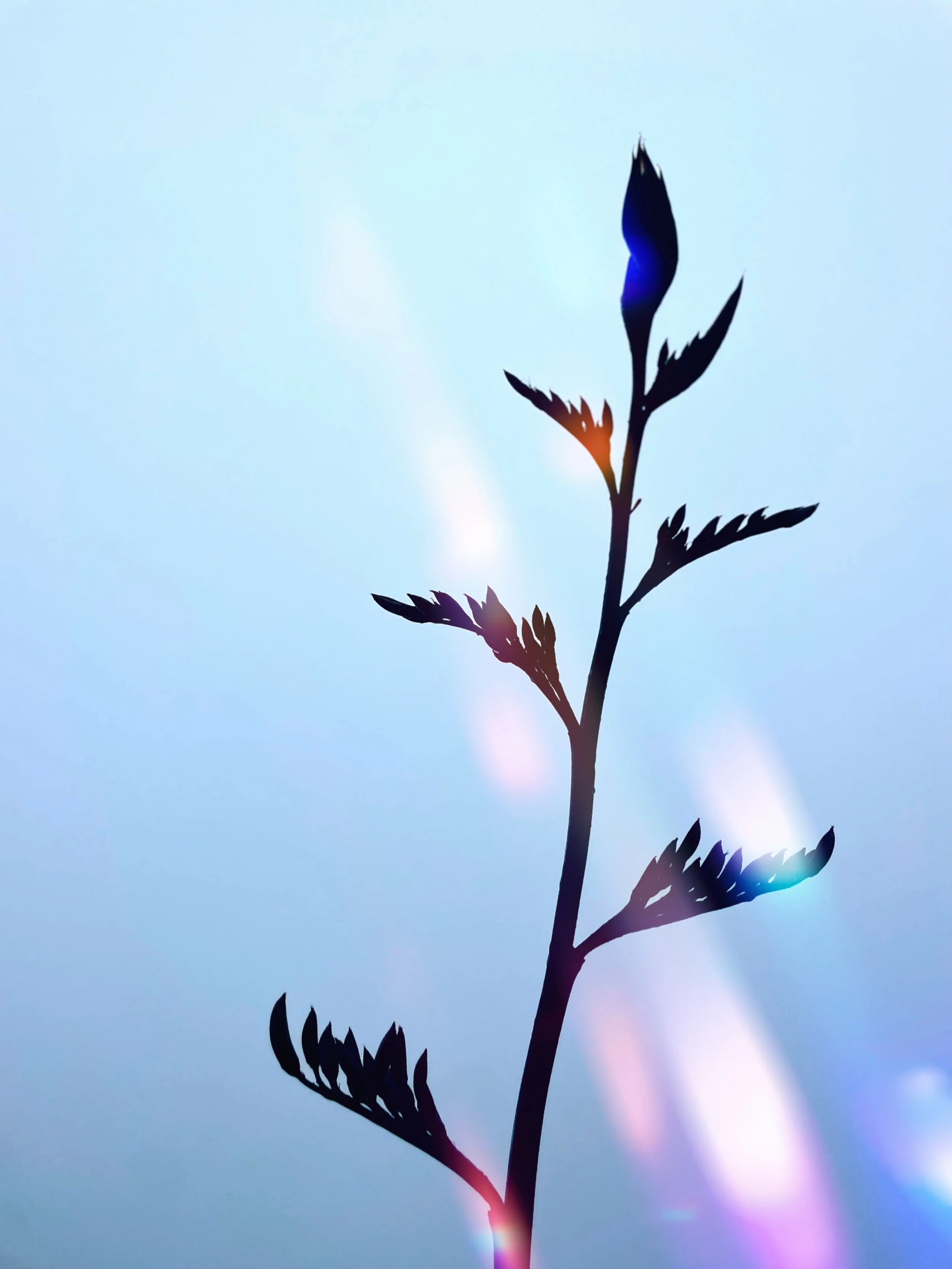 35C65845-F936-4F4B-816D-77D656077F33.jpeg